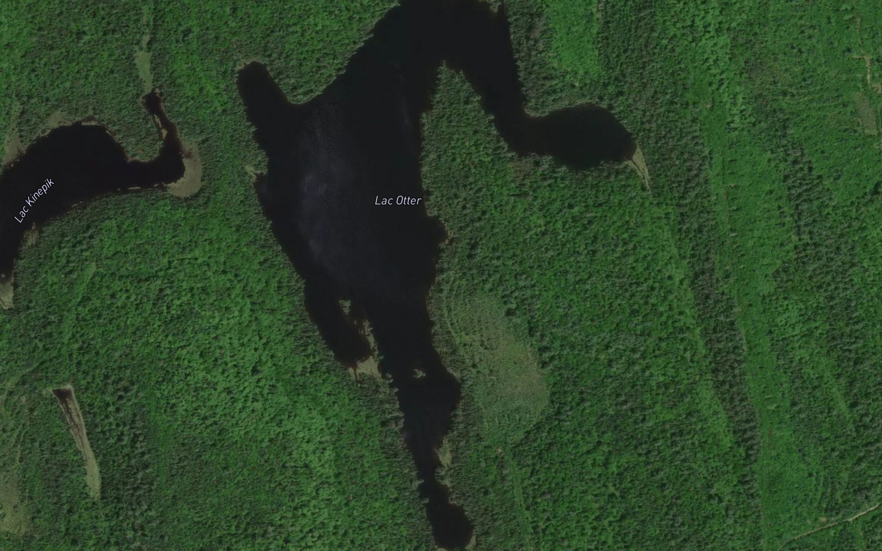 Satellite map of the Lac Otter