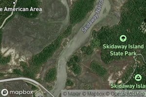 Skidaway Narrows