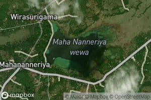 Mahananneriya Wewa