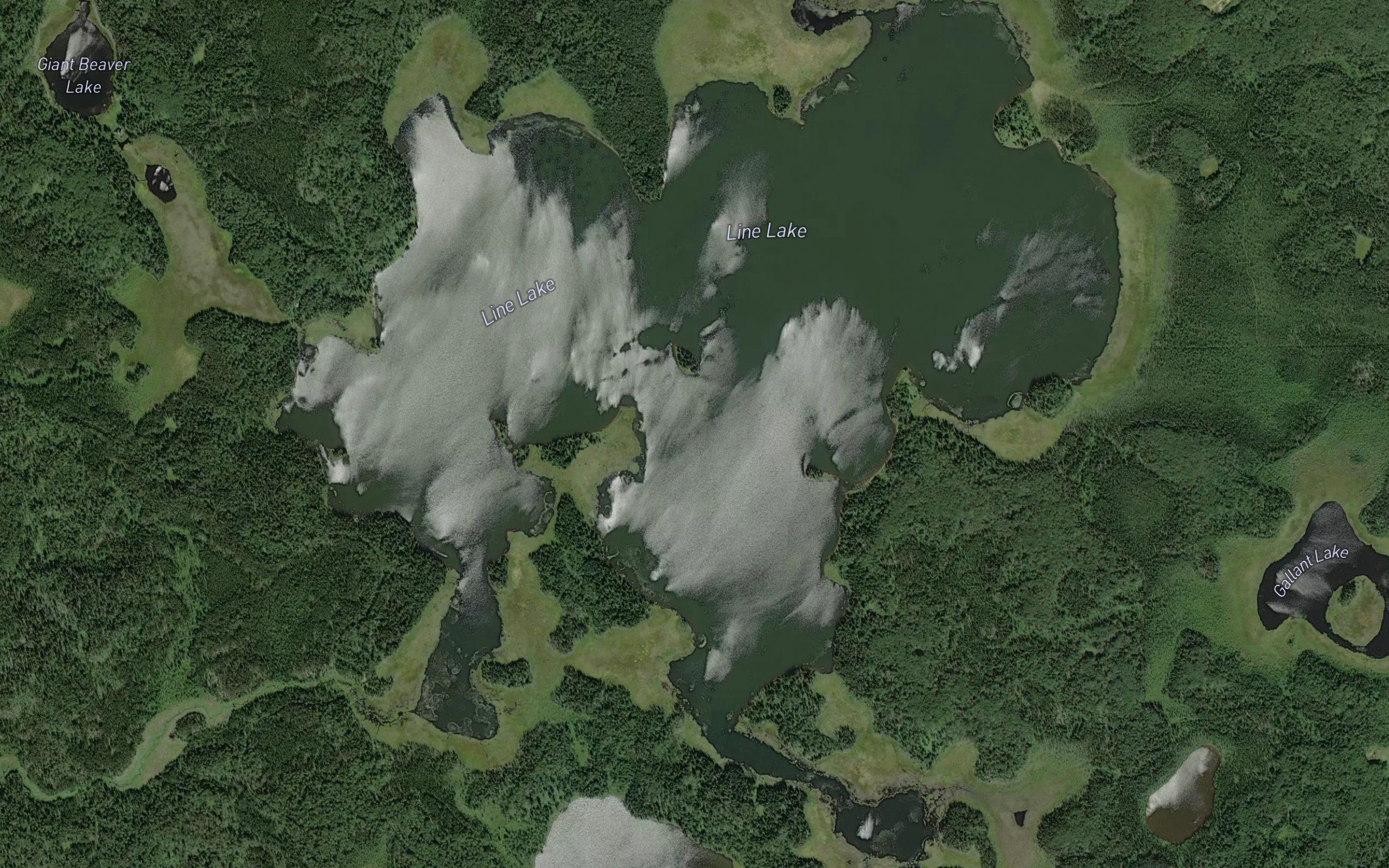 Line Lake