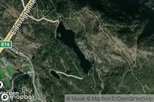 Langevatnet