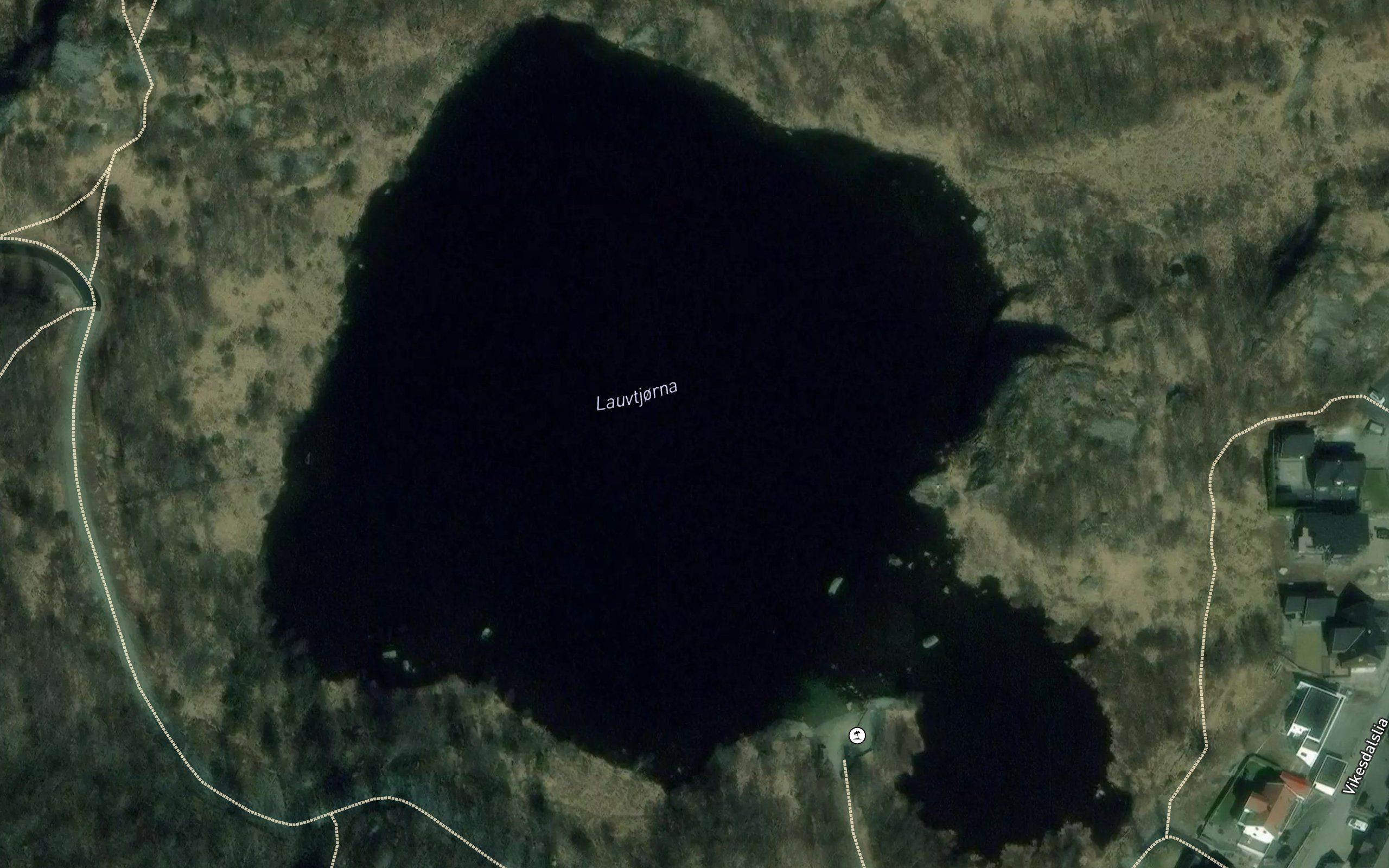 Lauvtjorna