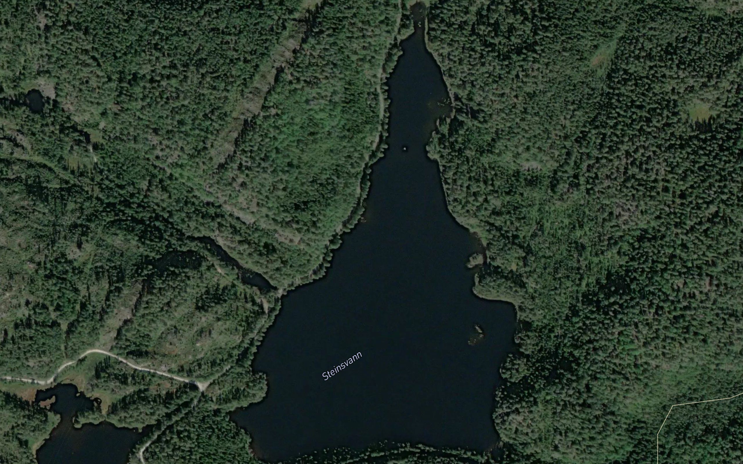 Steinsvann