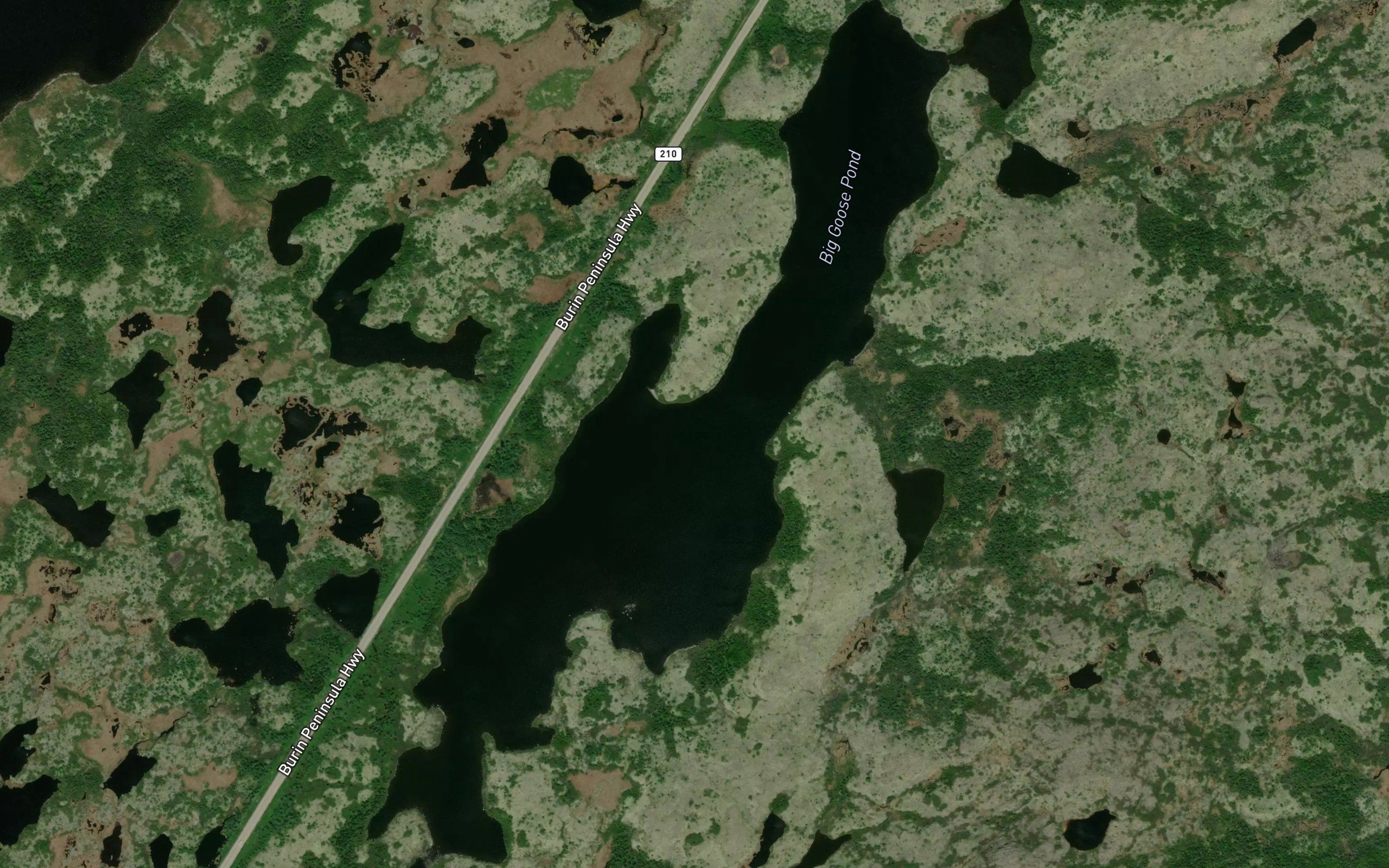 Big Goose Pond