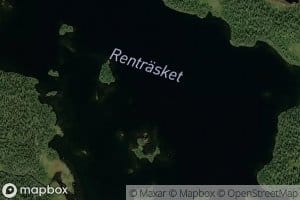 Rentraesket