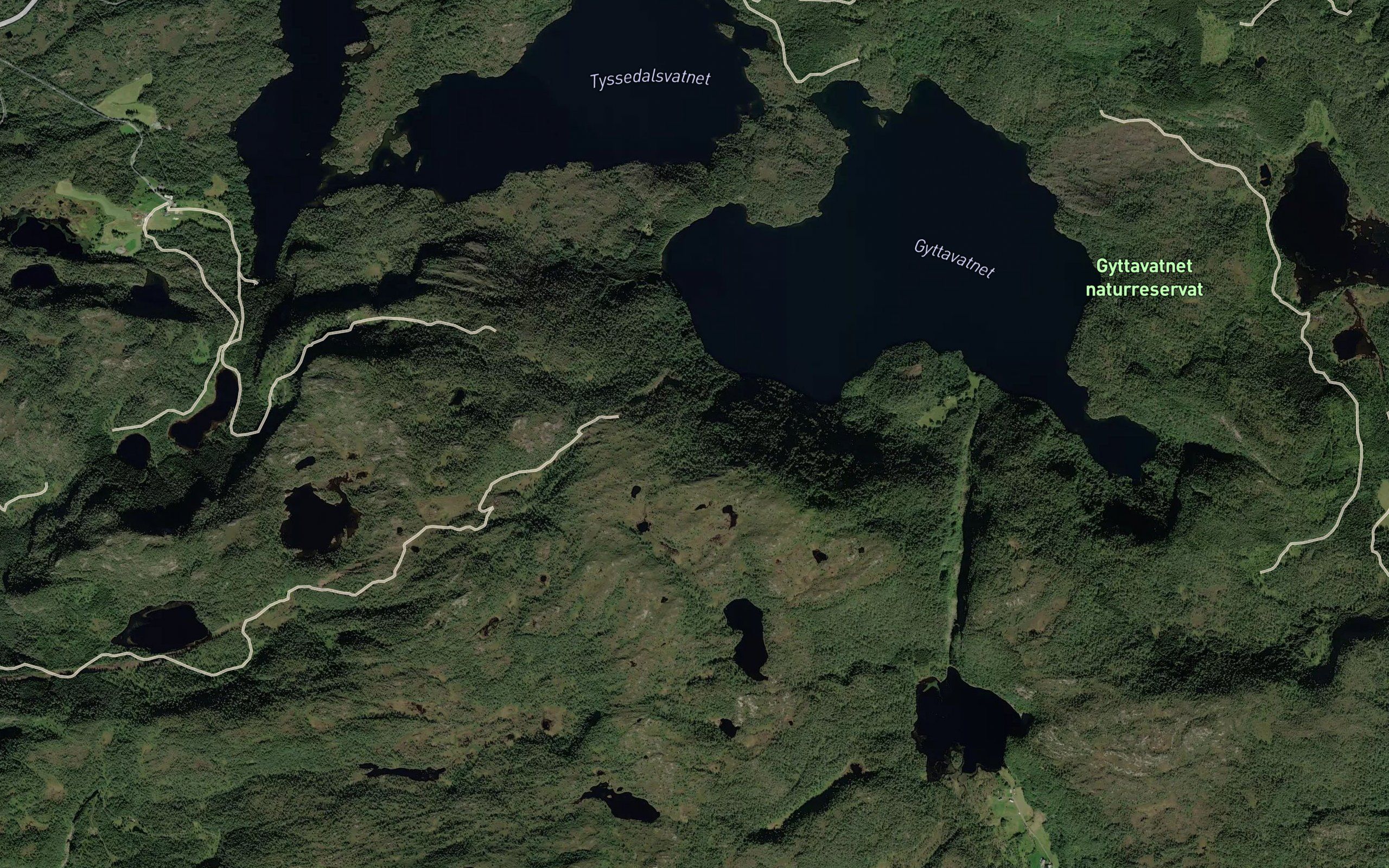 Storegrova