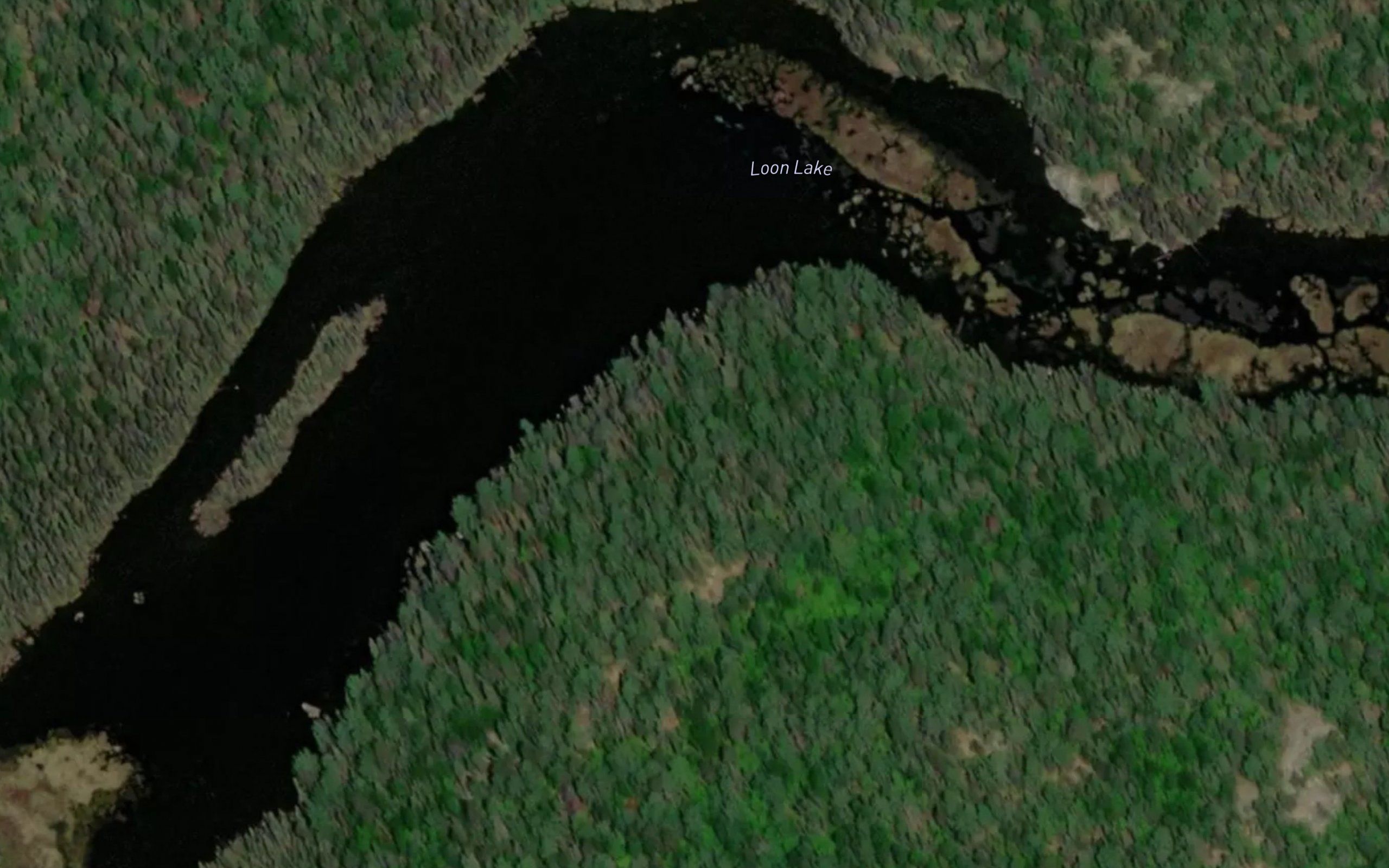 Loon Lake