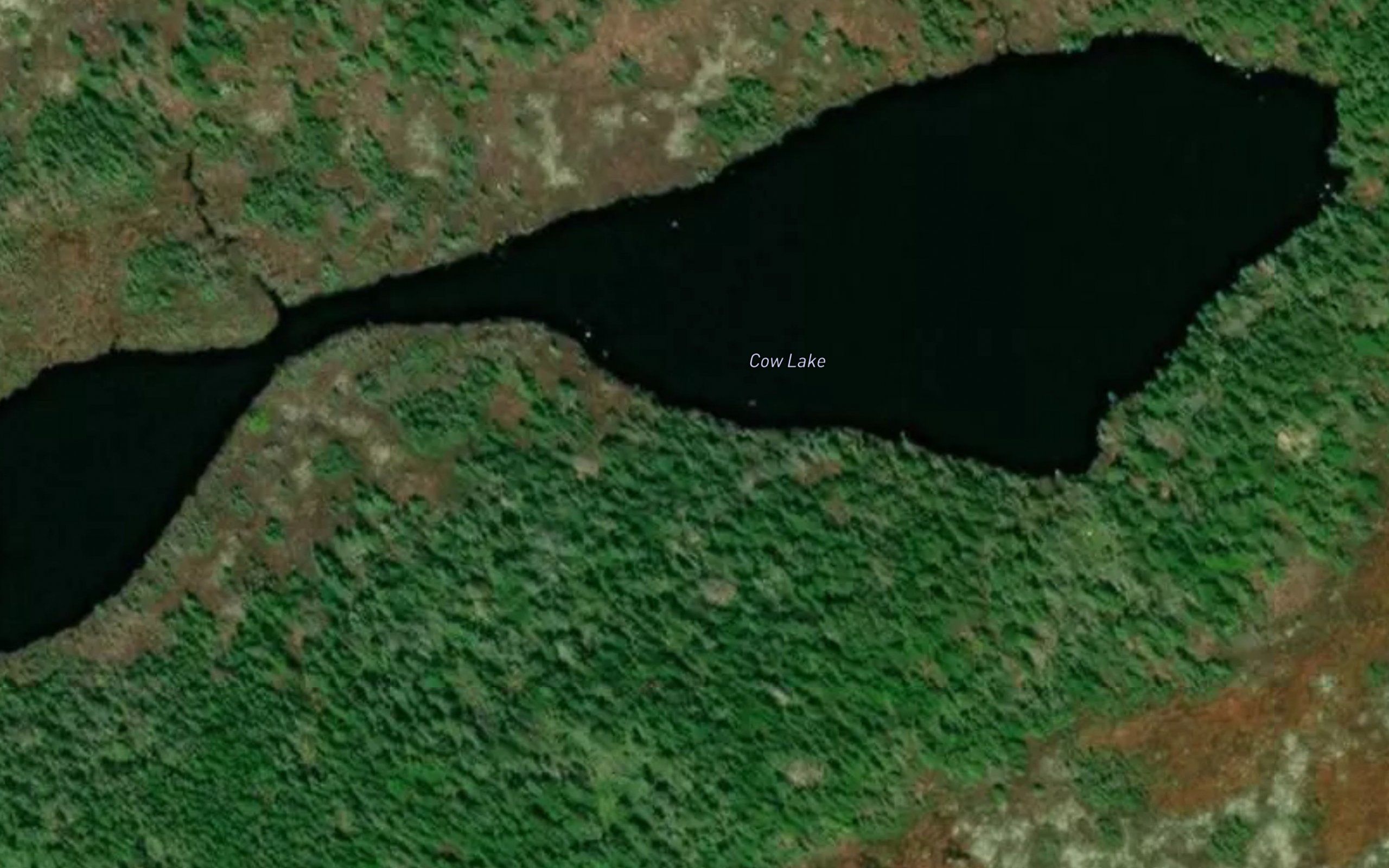 Cow Lake