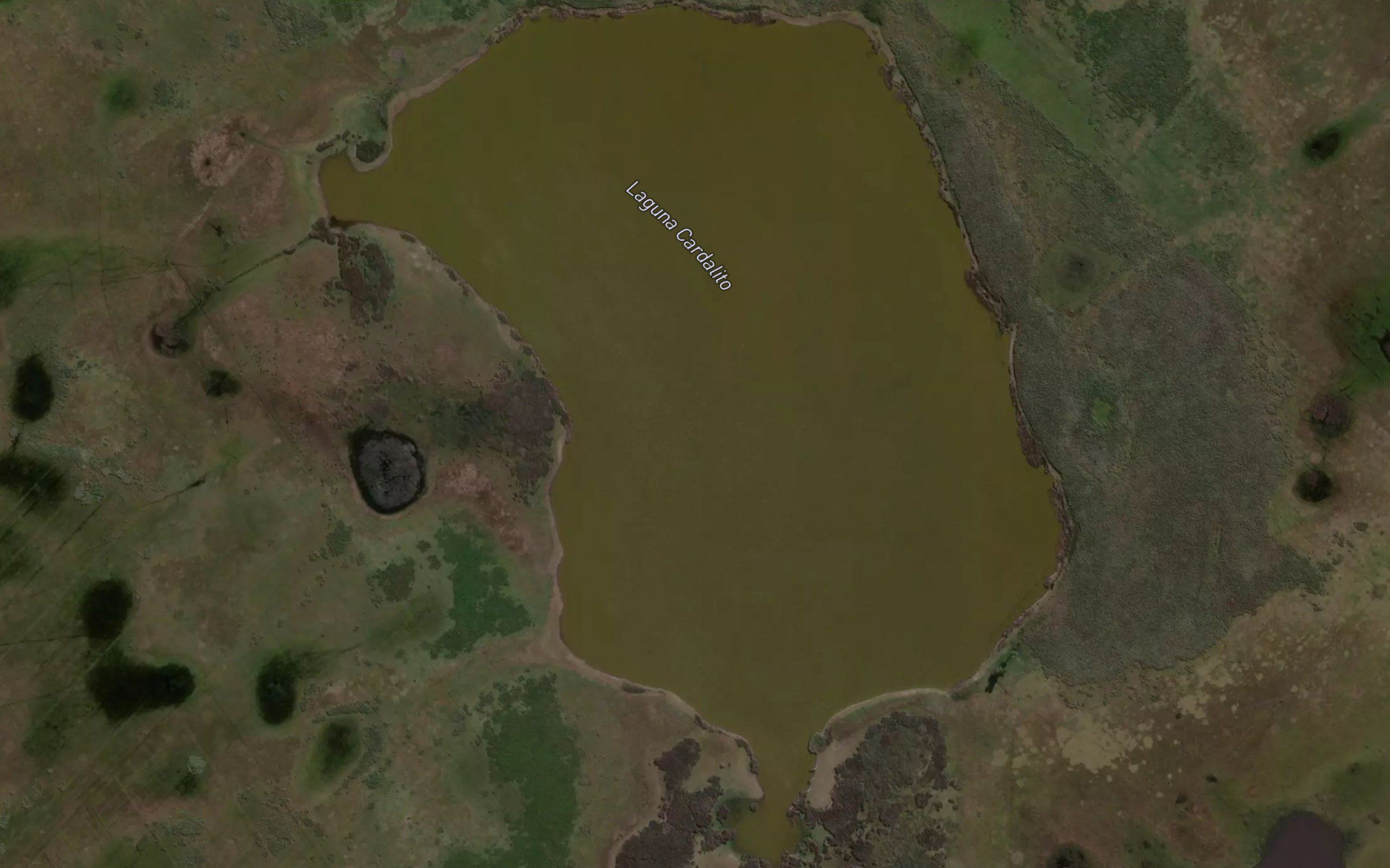 Laguna Cardalito