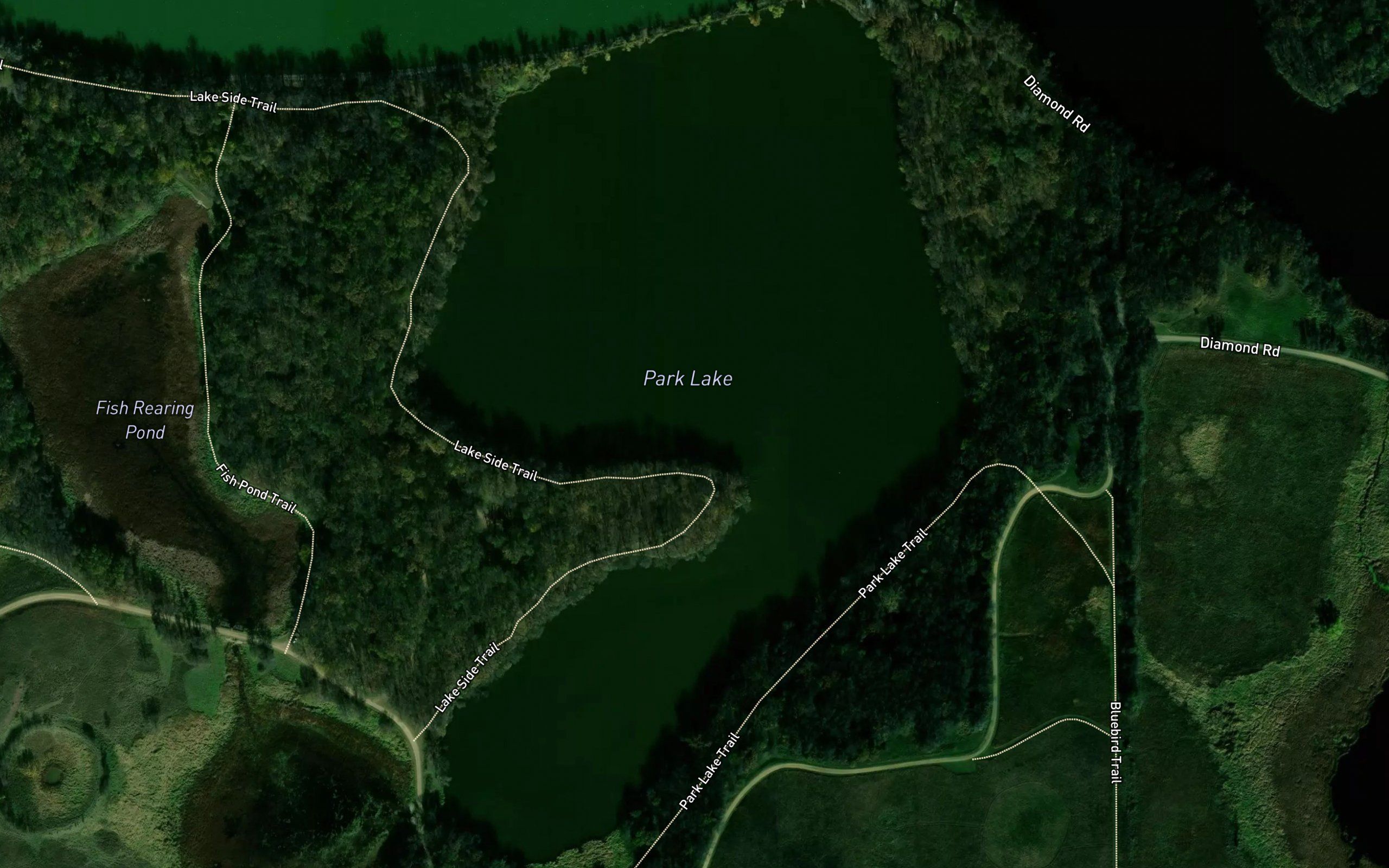 Park Lake