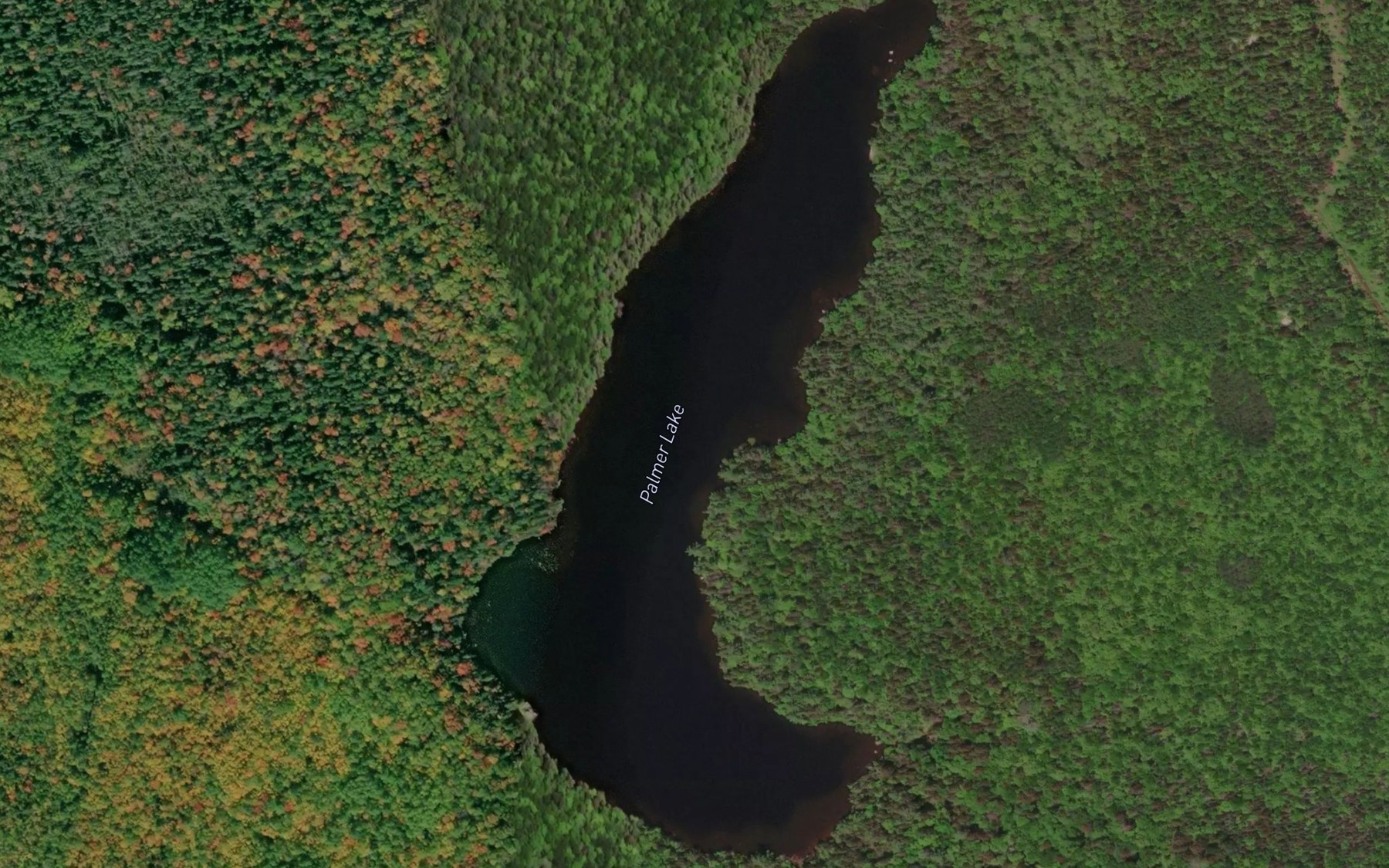 Satellite map of the Palmer Lake