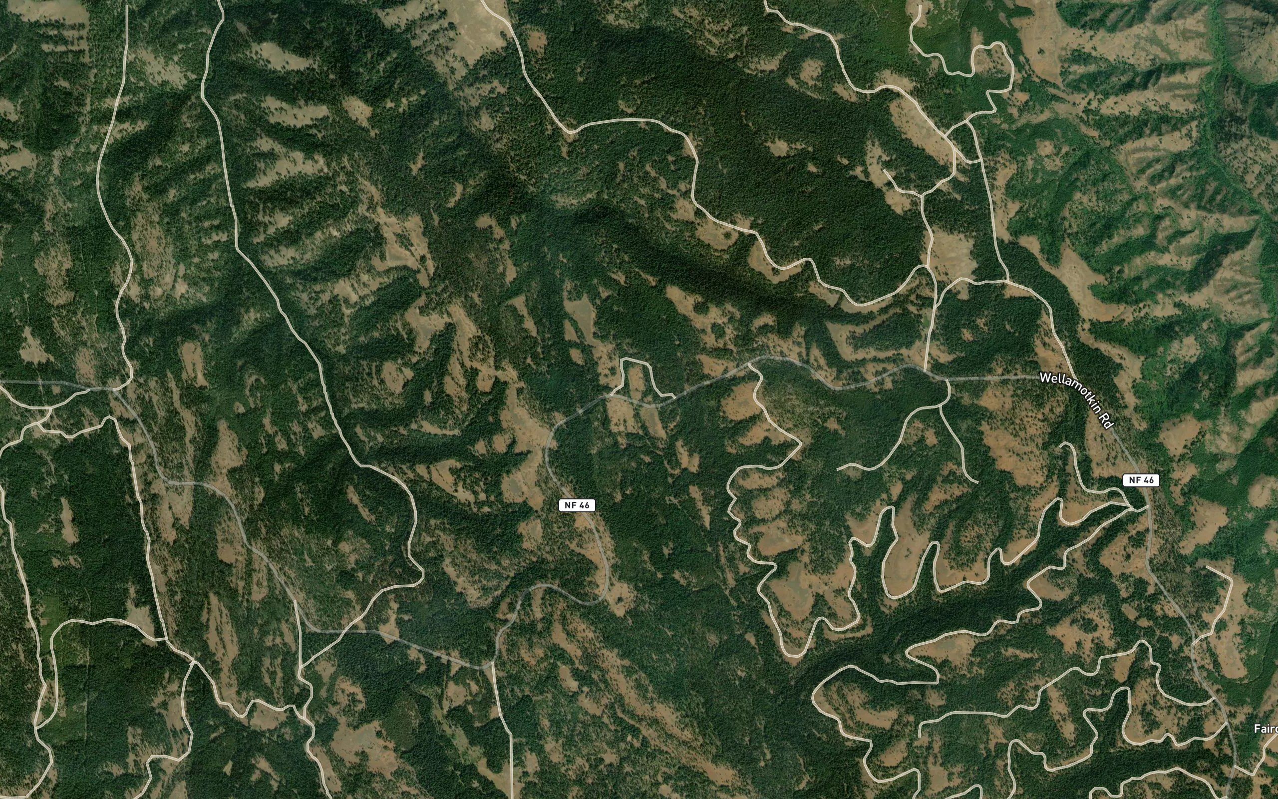 Dougherty Spring