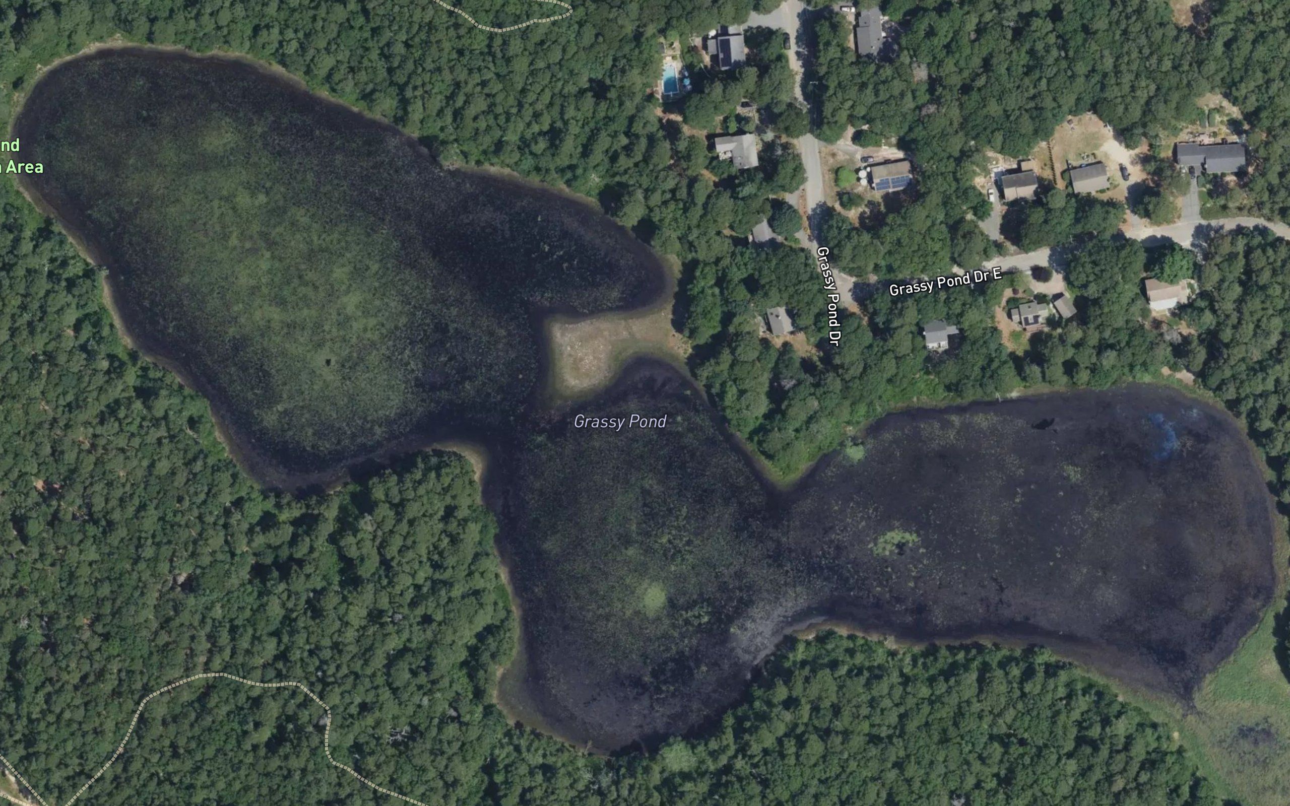 Grassy Pond