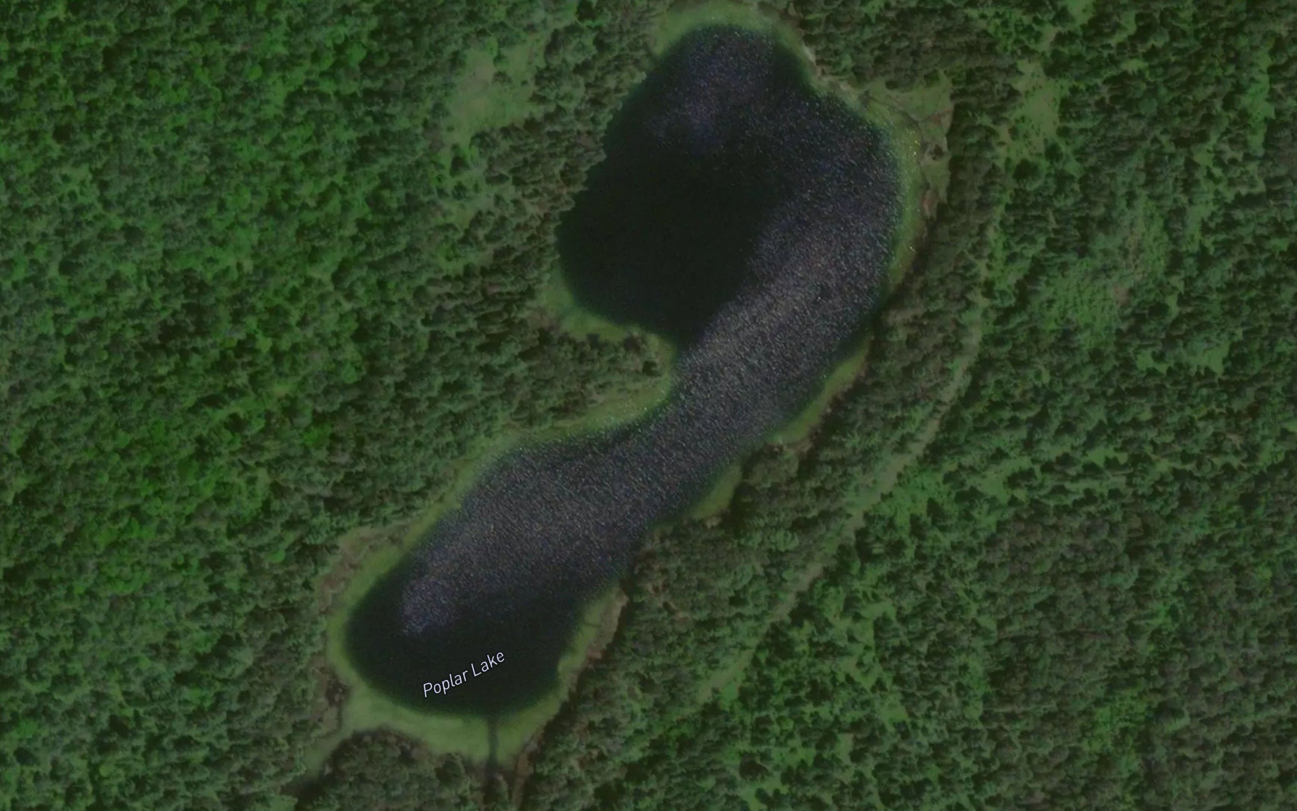 Poplar Lake