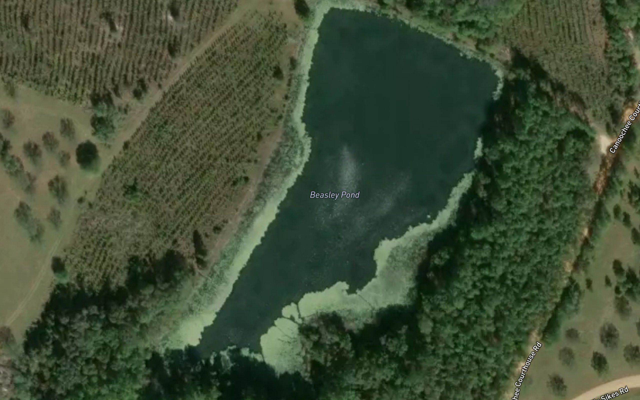 Beasley Pond