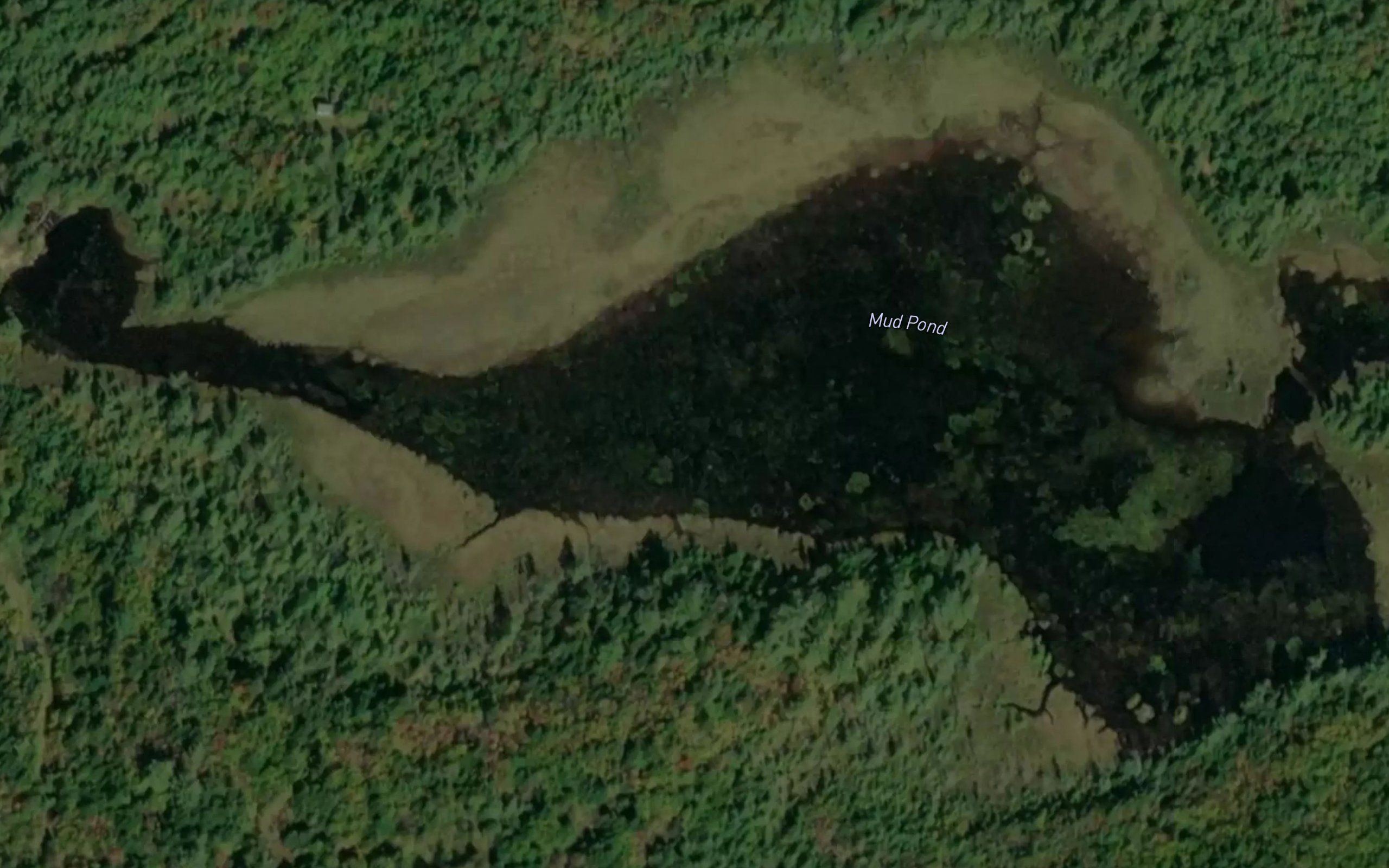 Mud Pond
