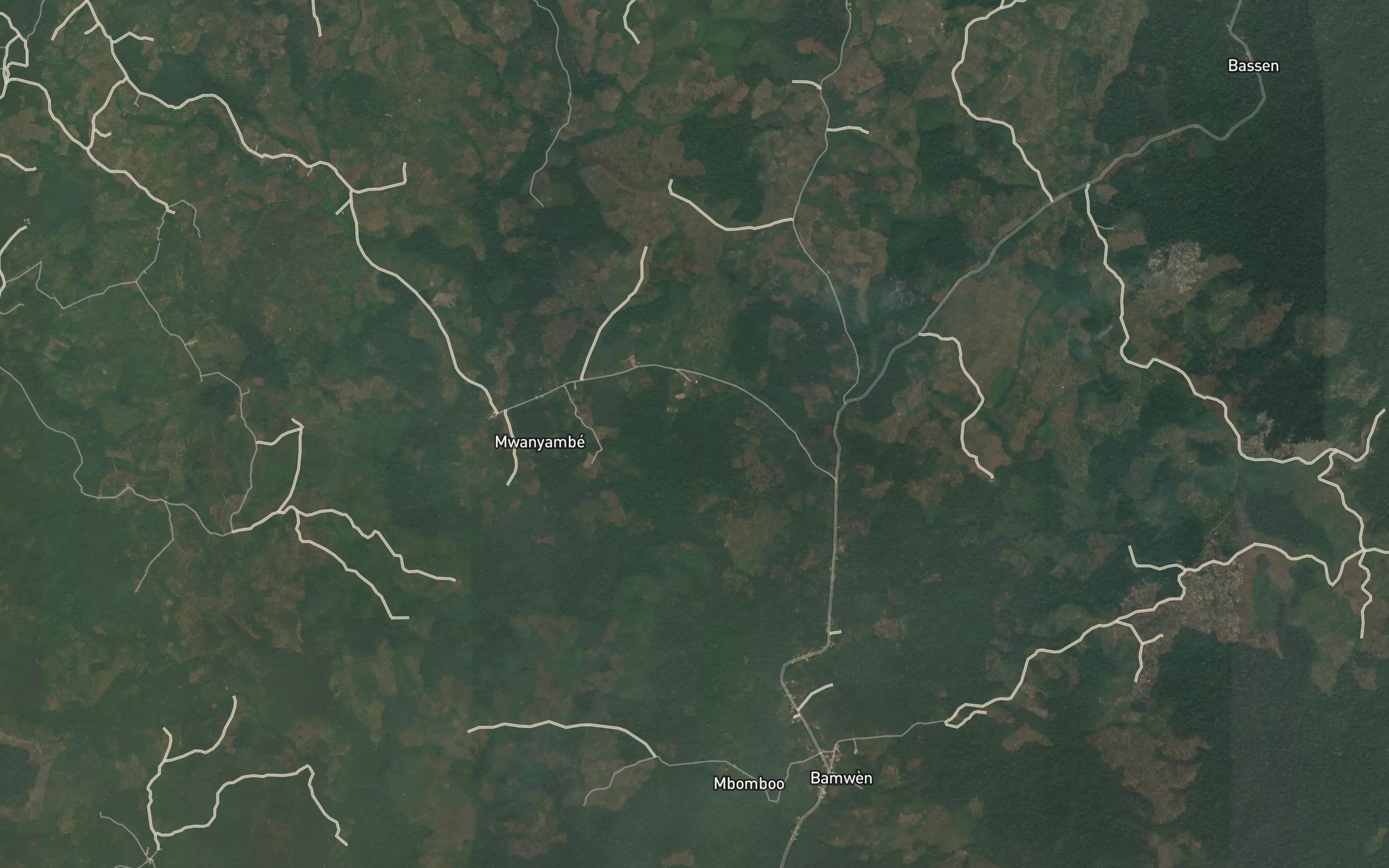 Ngombe