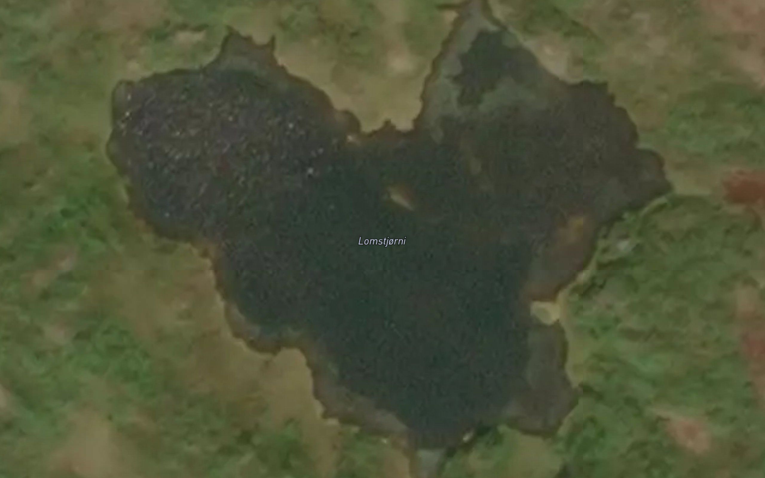 Lomstjorni