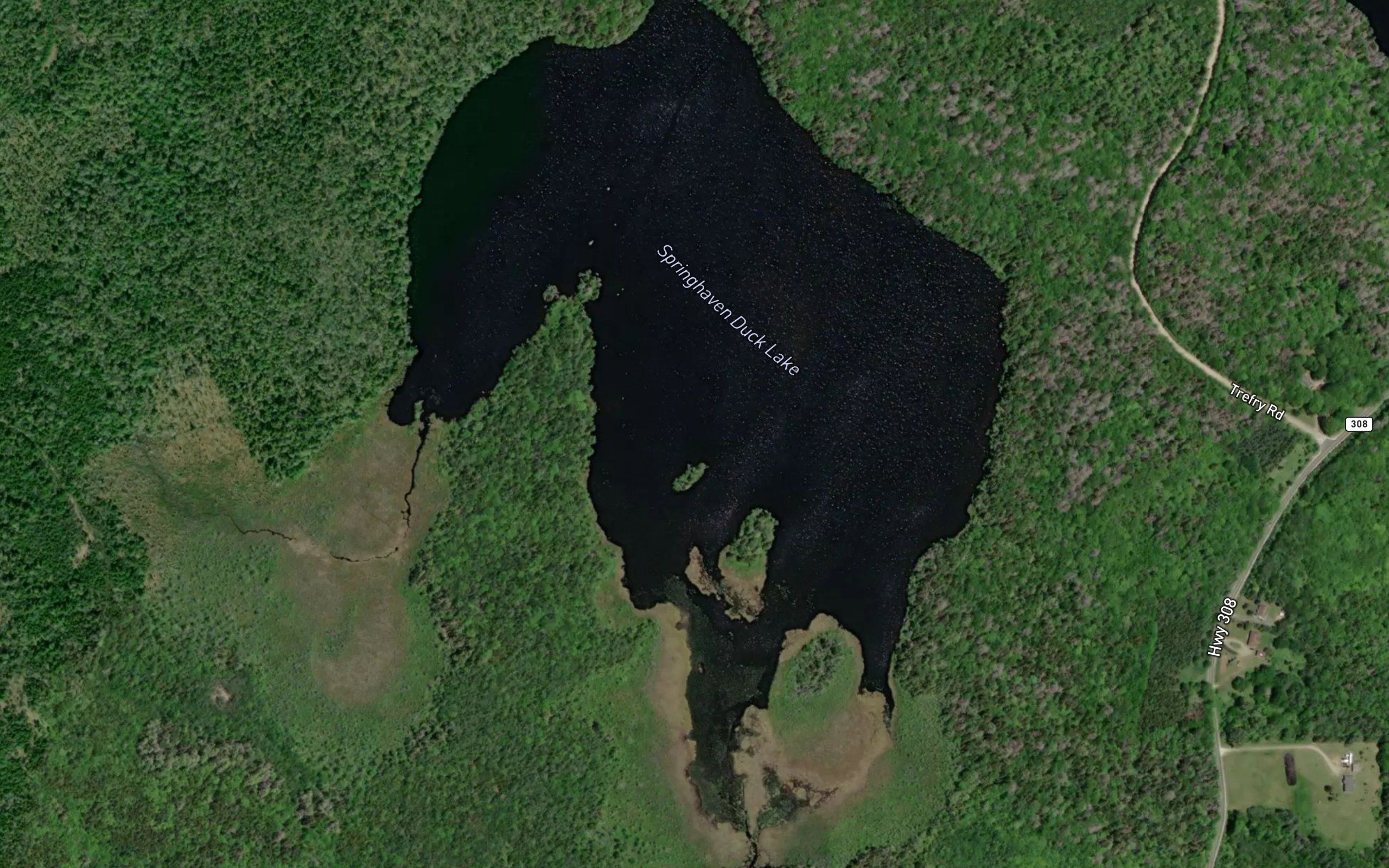 Springhaven Duck Lake