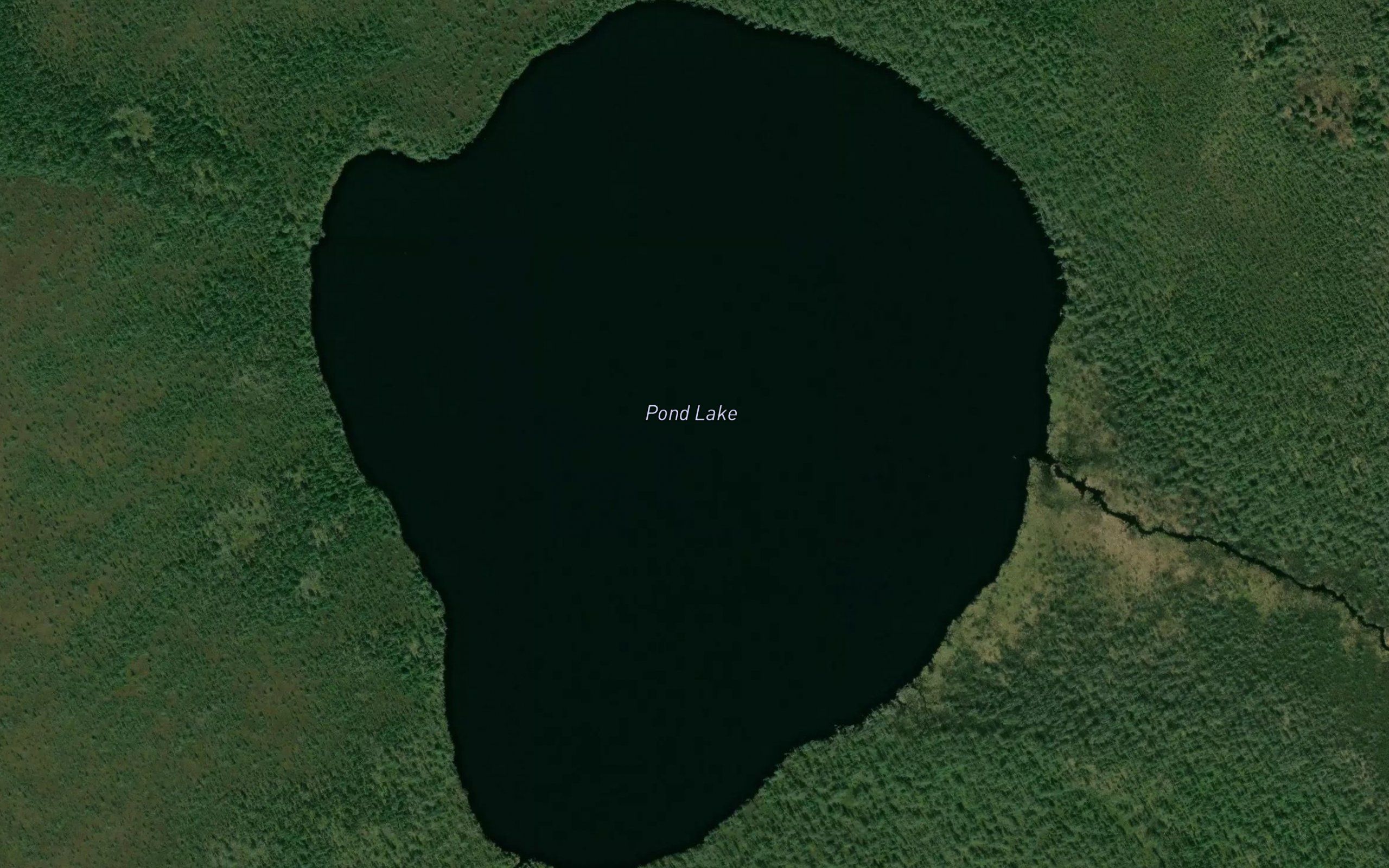 Pond Lake