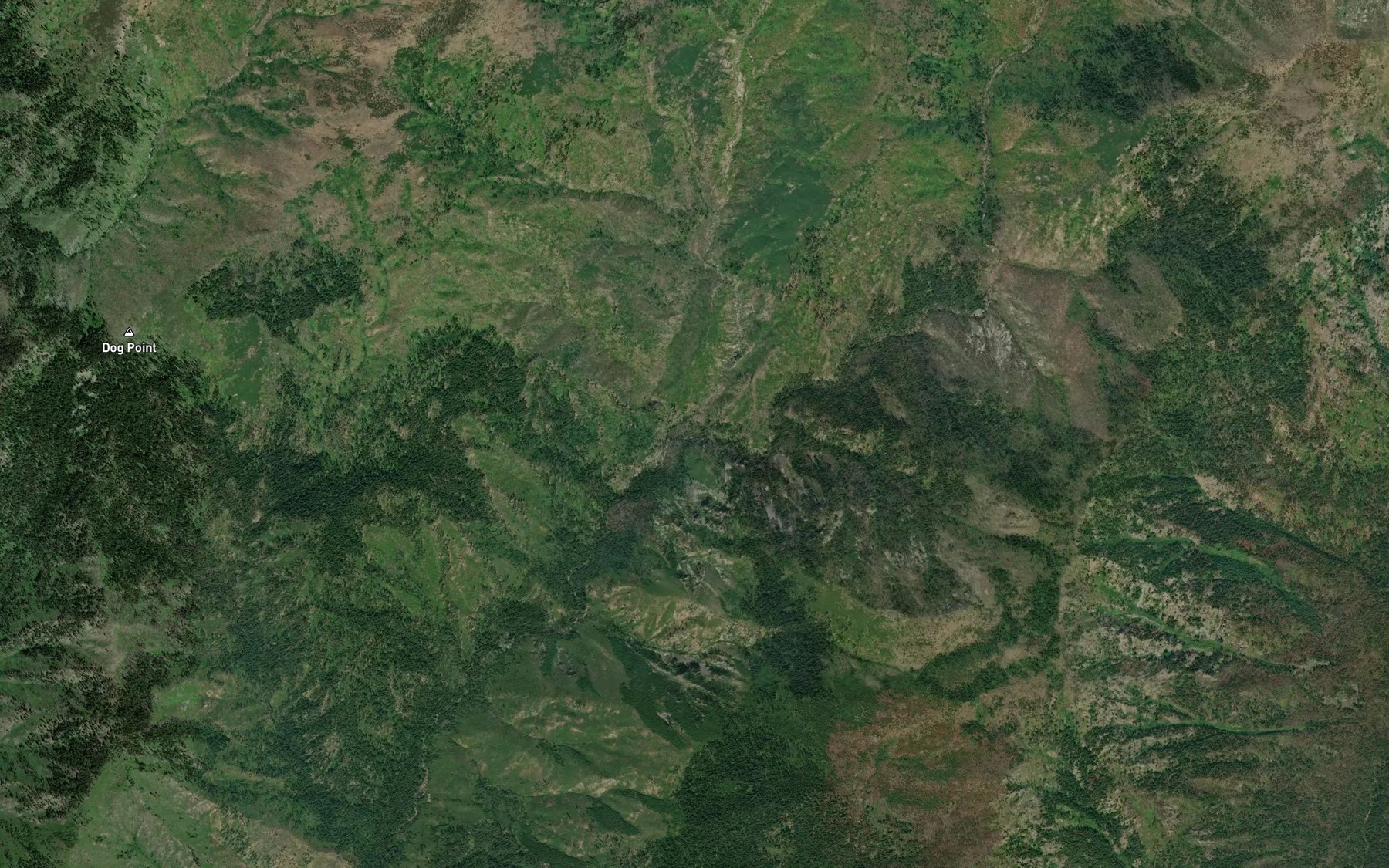 Satellite map of the Brave Creek
