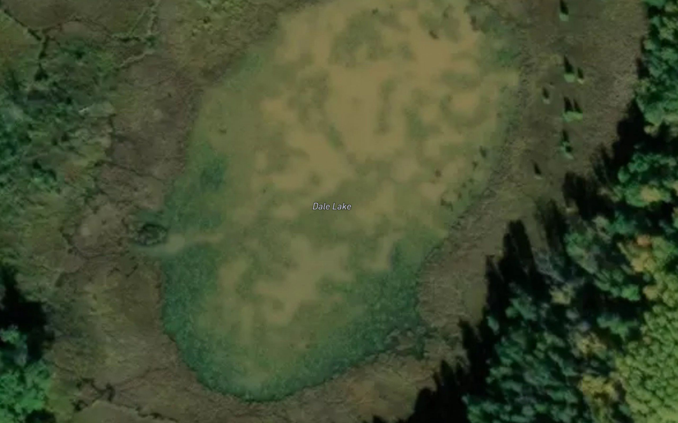 Dale Lake