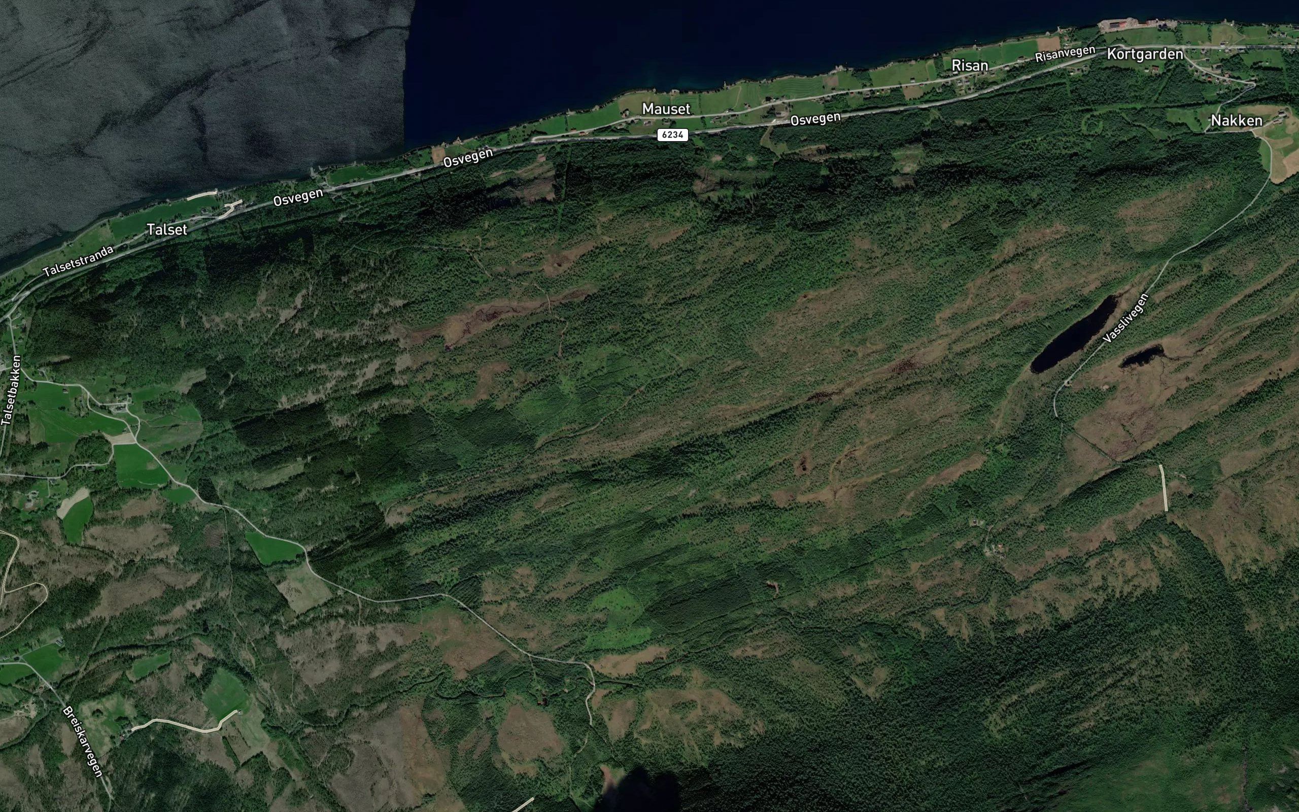 Bjerkaligrova