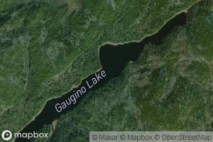 Gaugino Lake