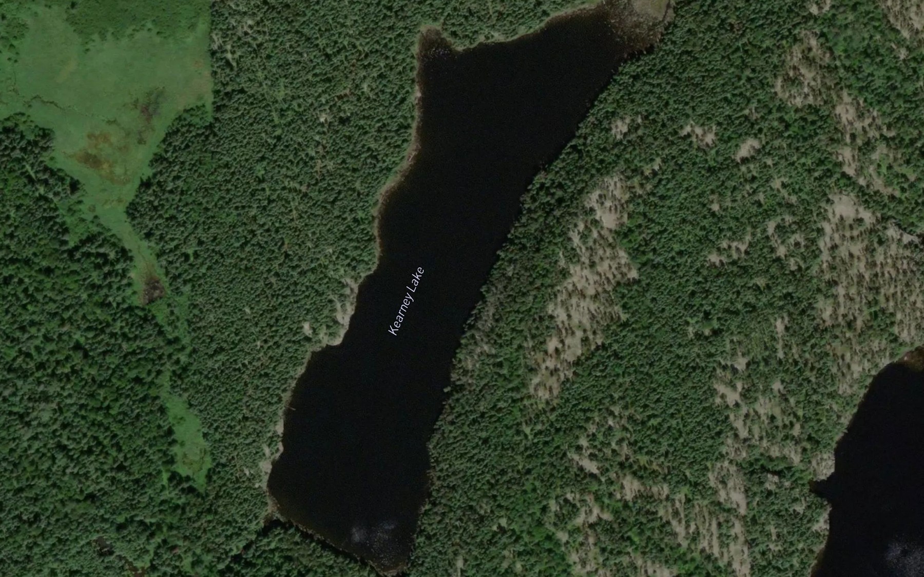 Satellite map of the Kearney Lake