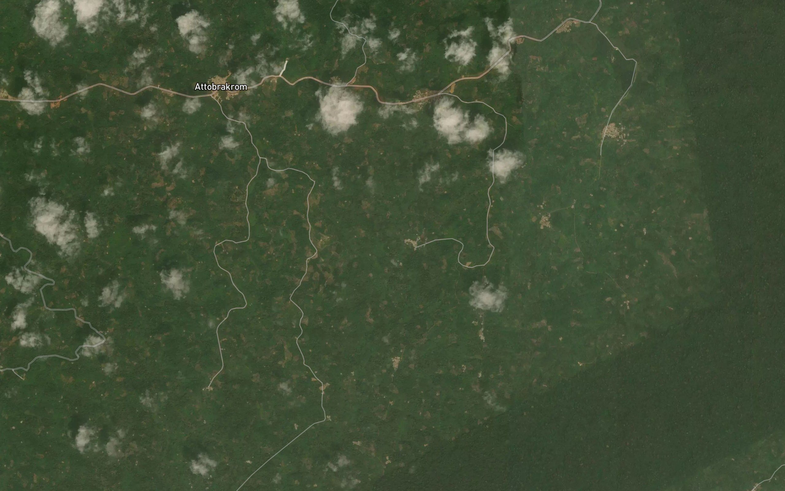 Koduamu