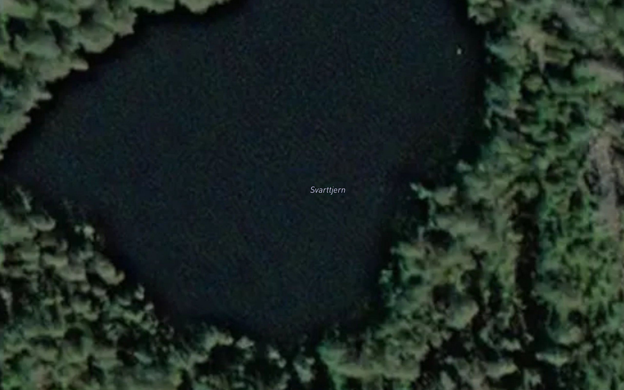 Svarttjern