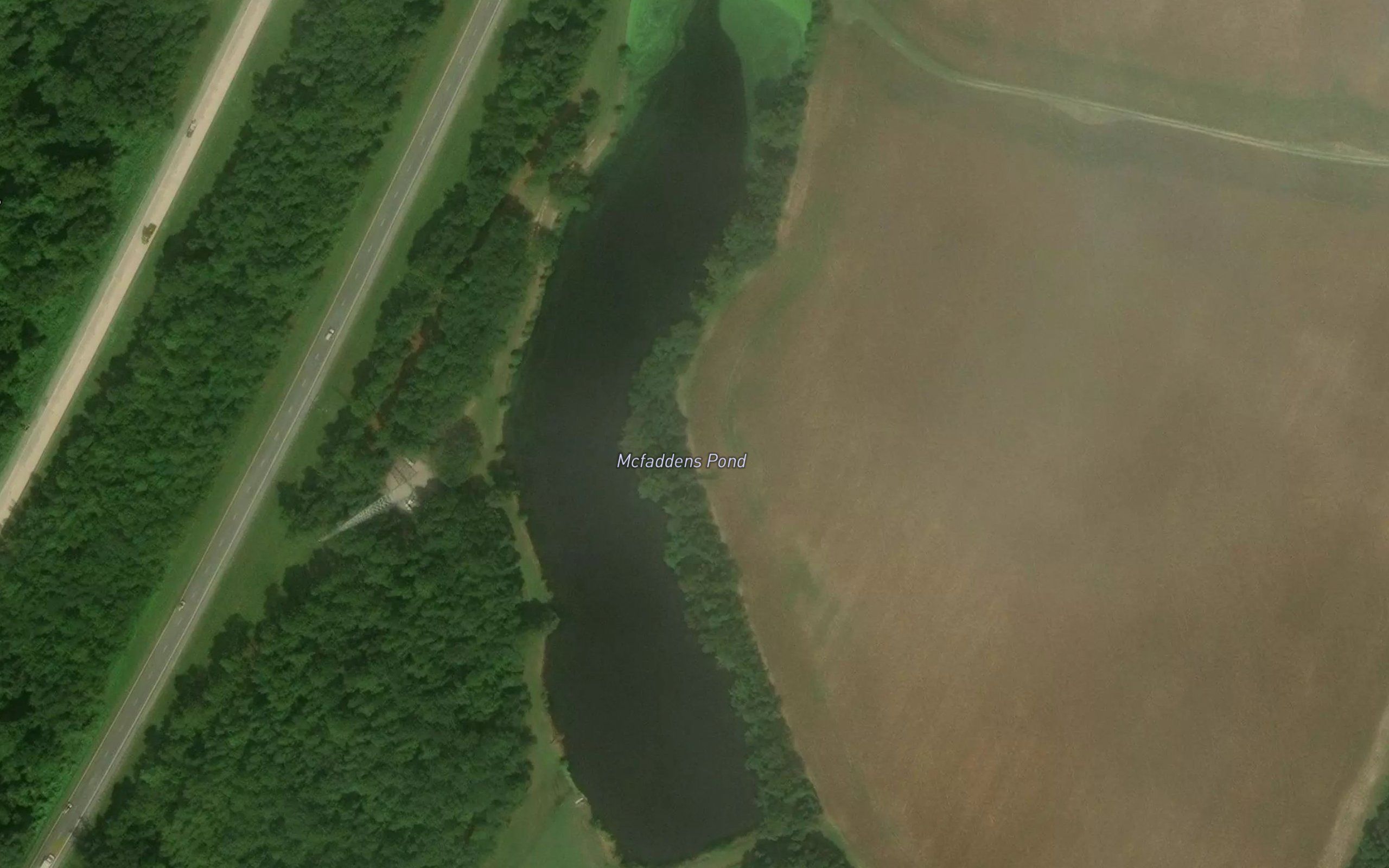 Mcfaddens Pond