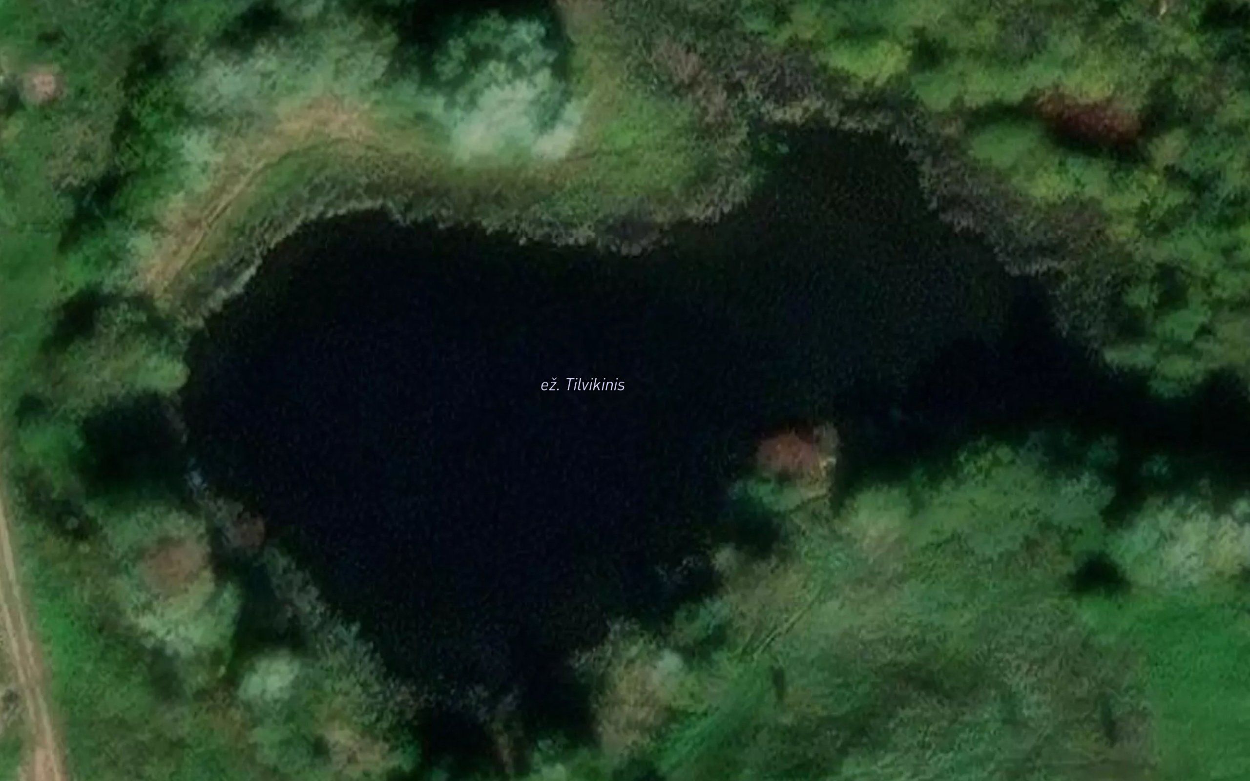 Ezeras Tilvikinis