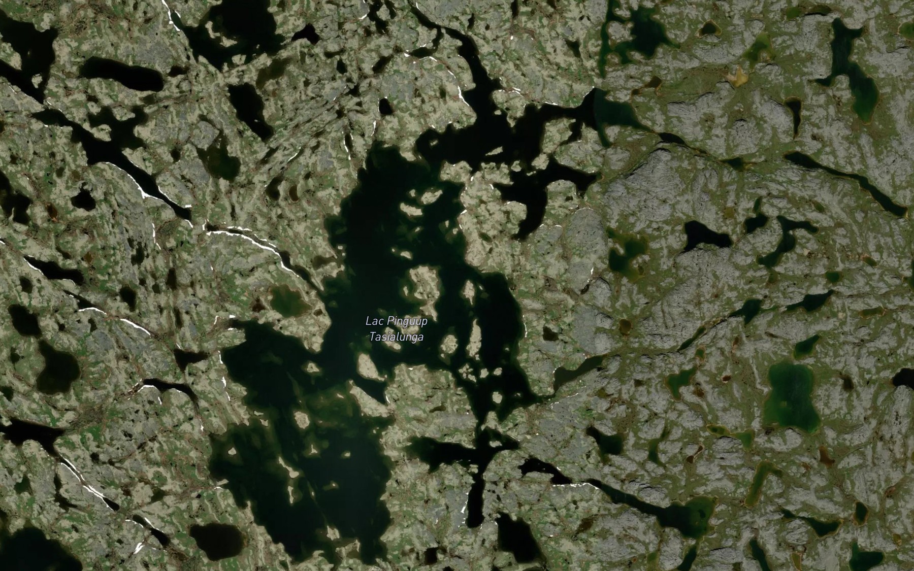 Satellite map of the Lac Pinguup Tasialunga