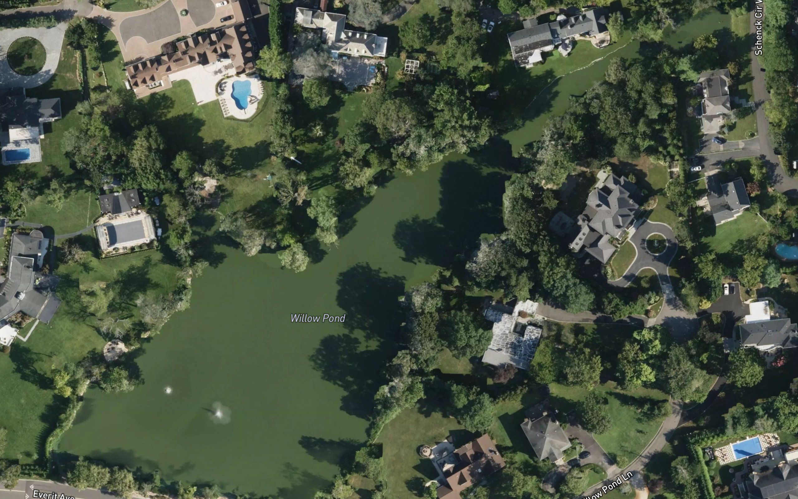 Willow Pond