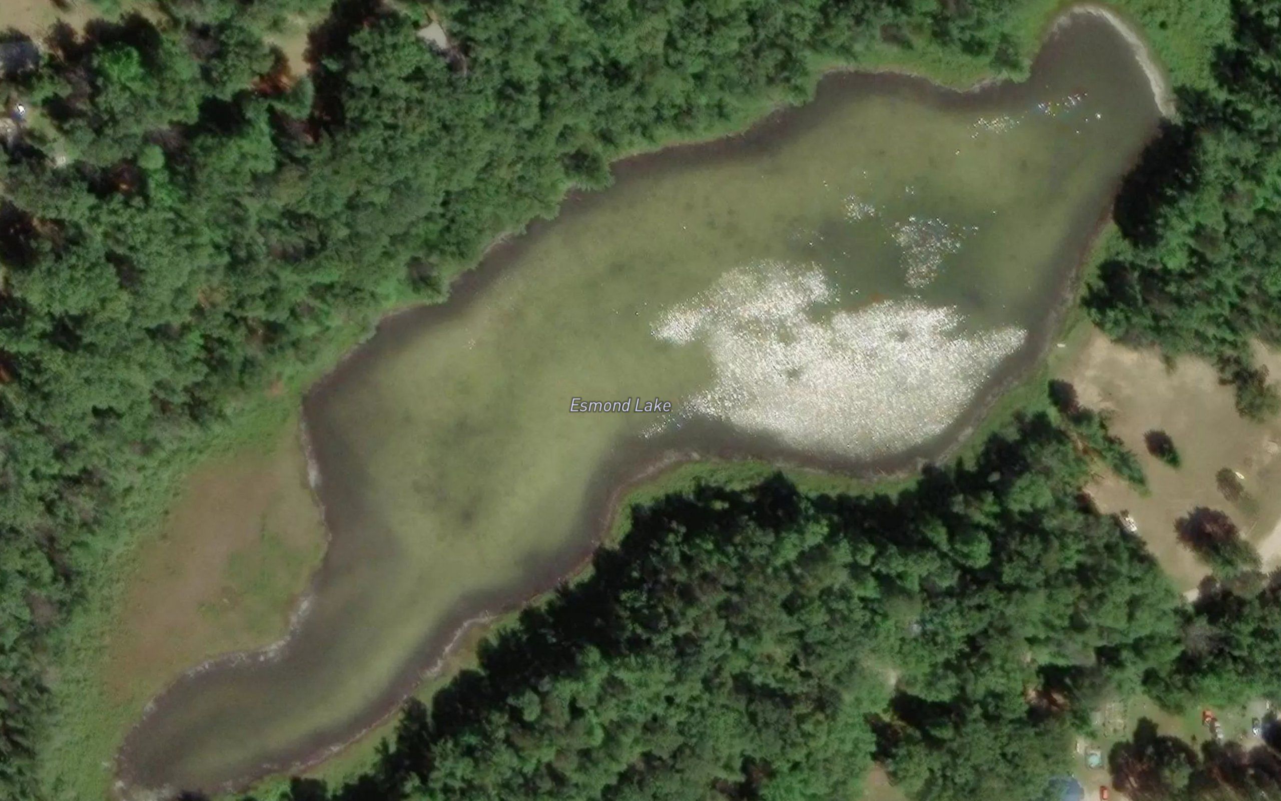Esmond Lake