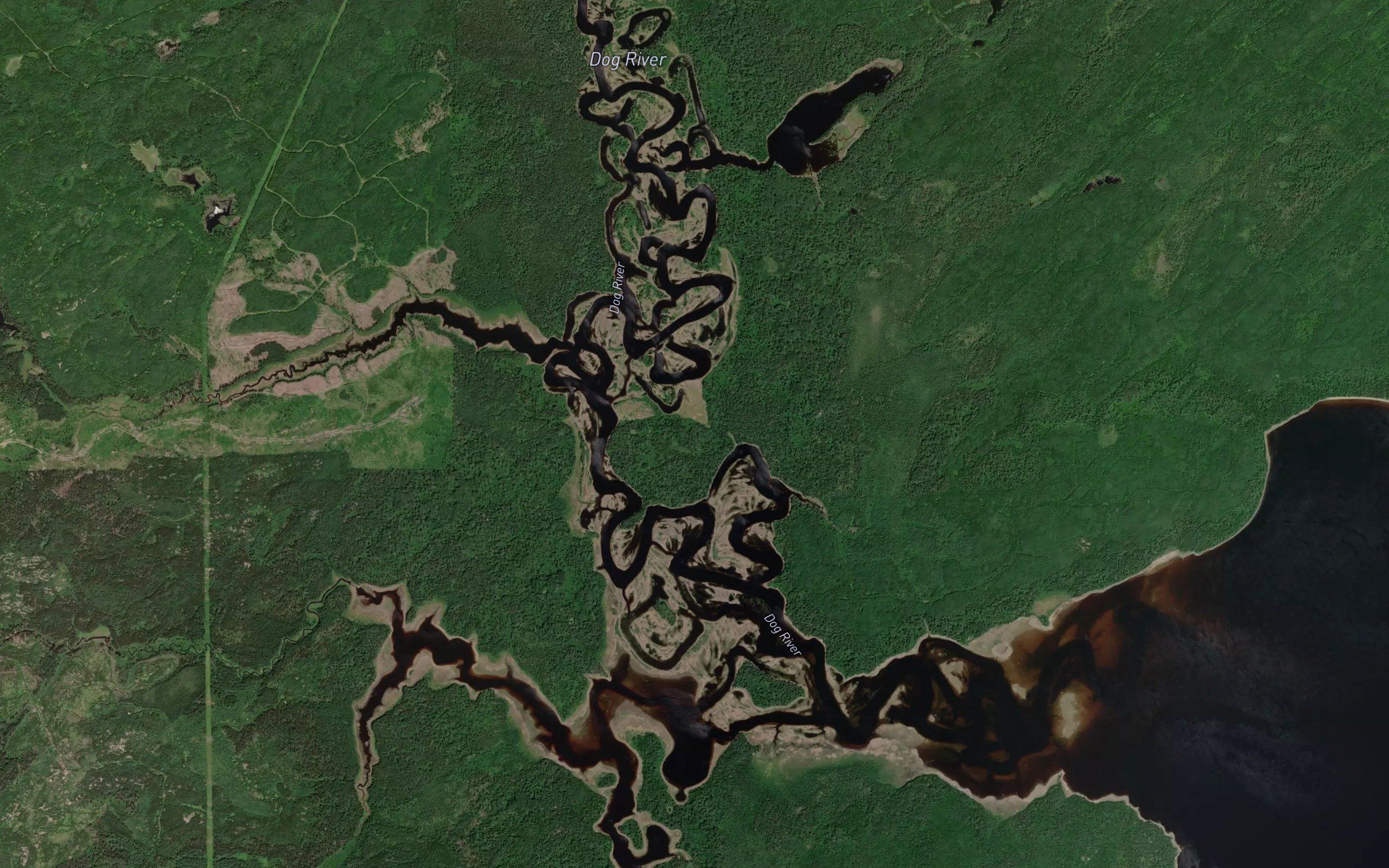 Dog River