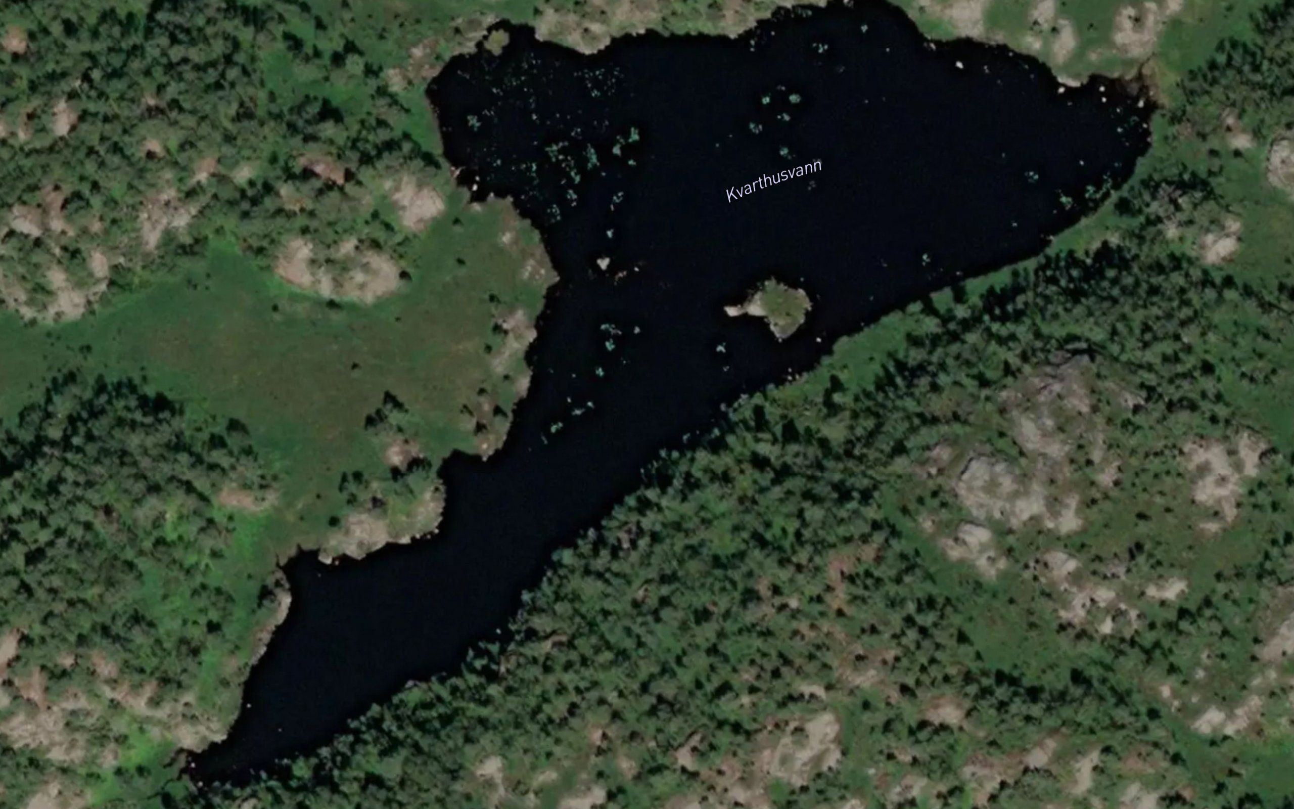 Kvarthusvann