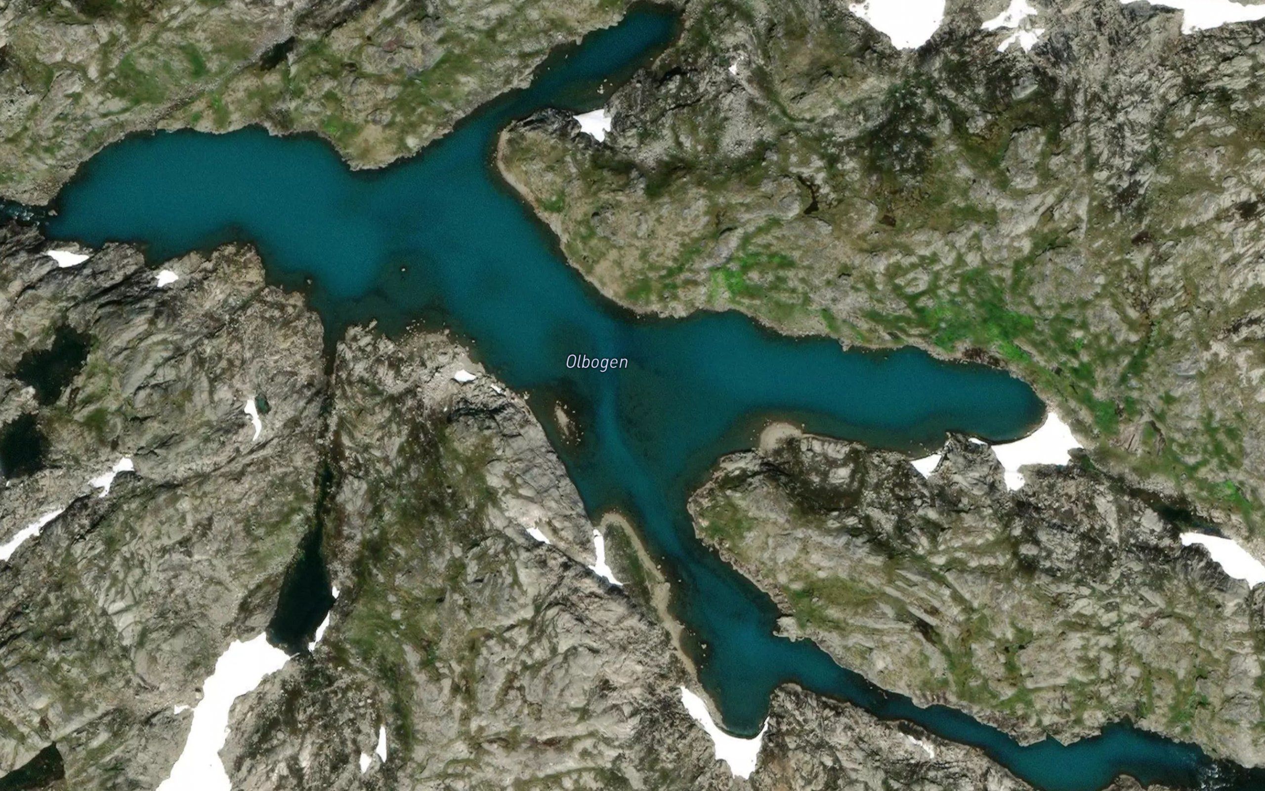Olbogen