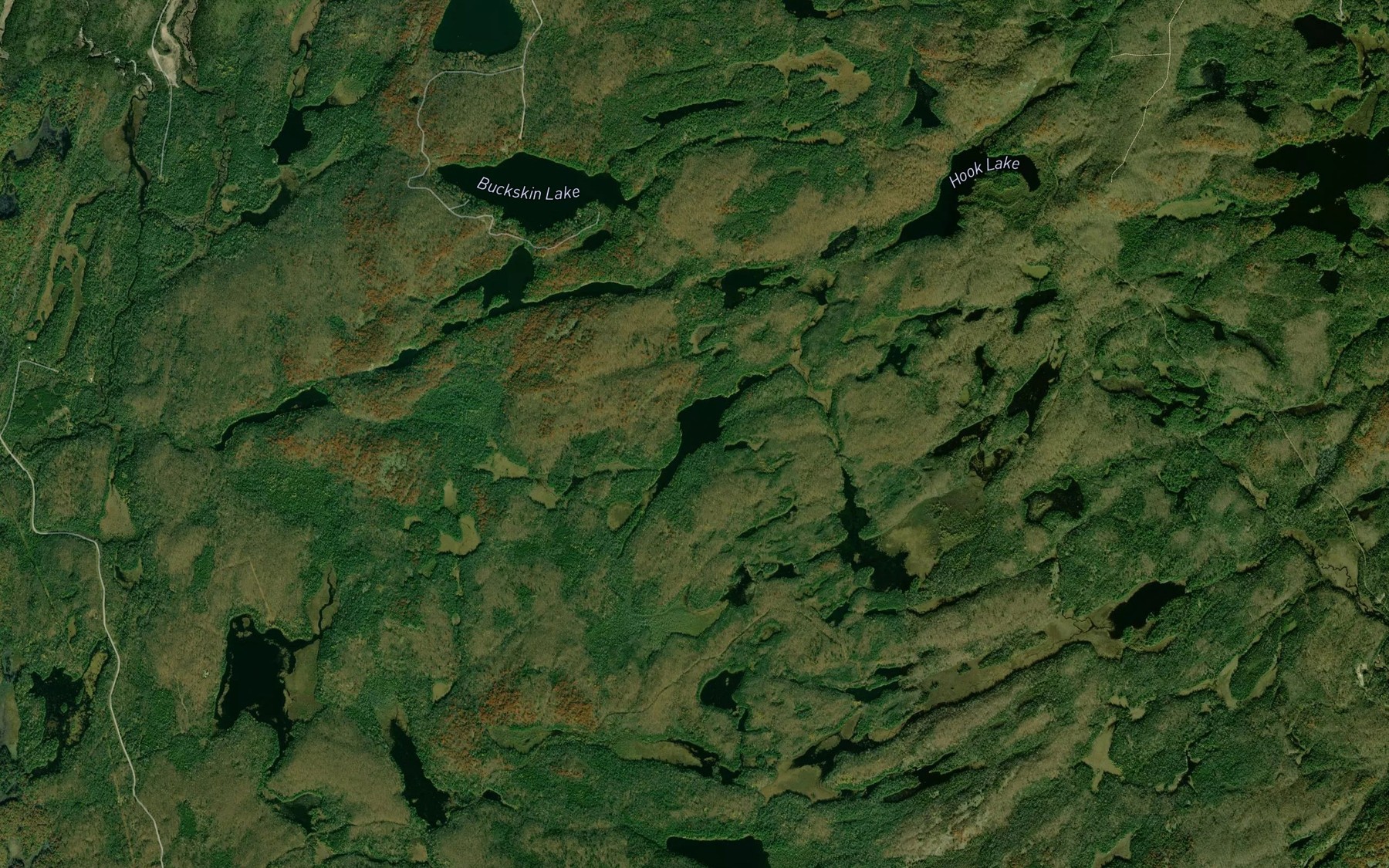 Satellite map of the Lost Lake