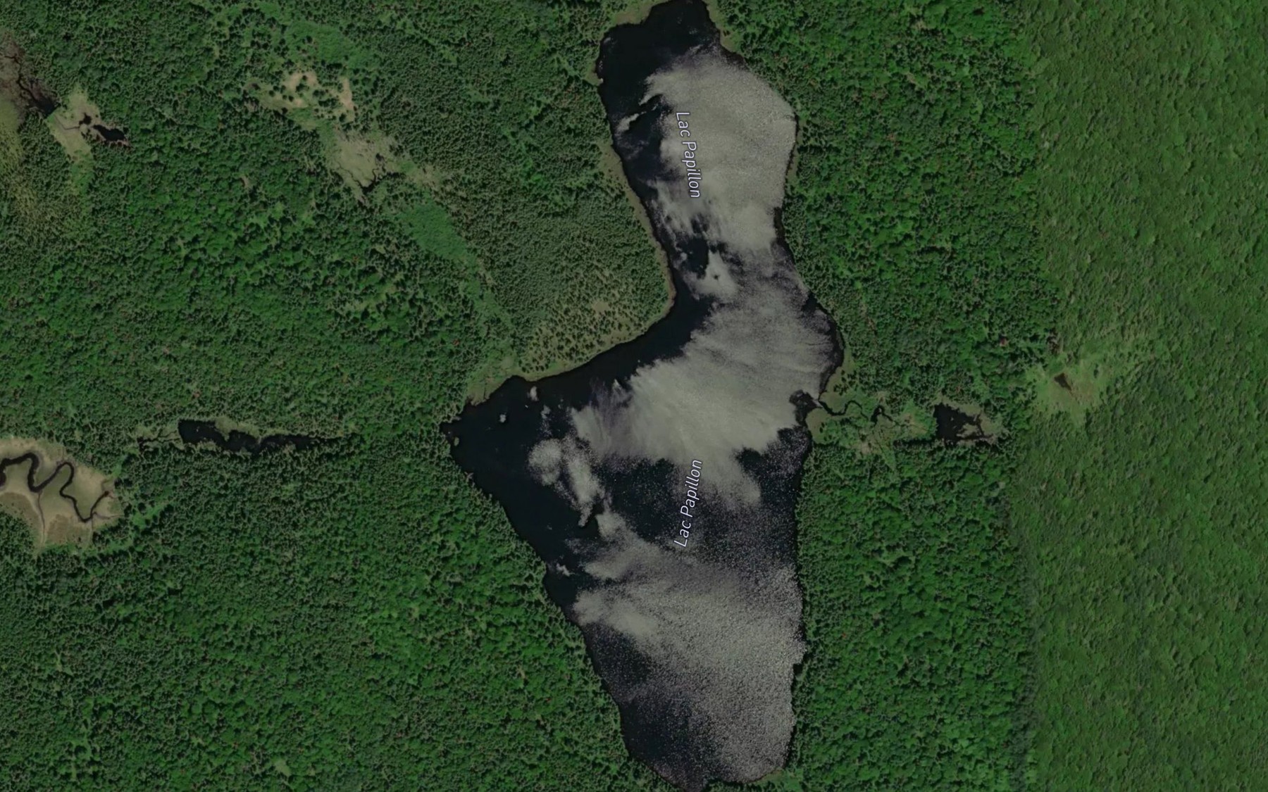 Satellite map of the Lac Papillon