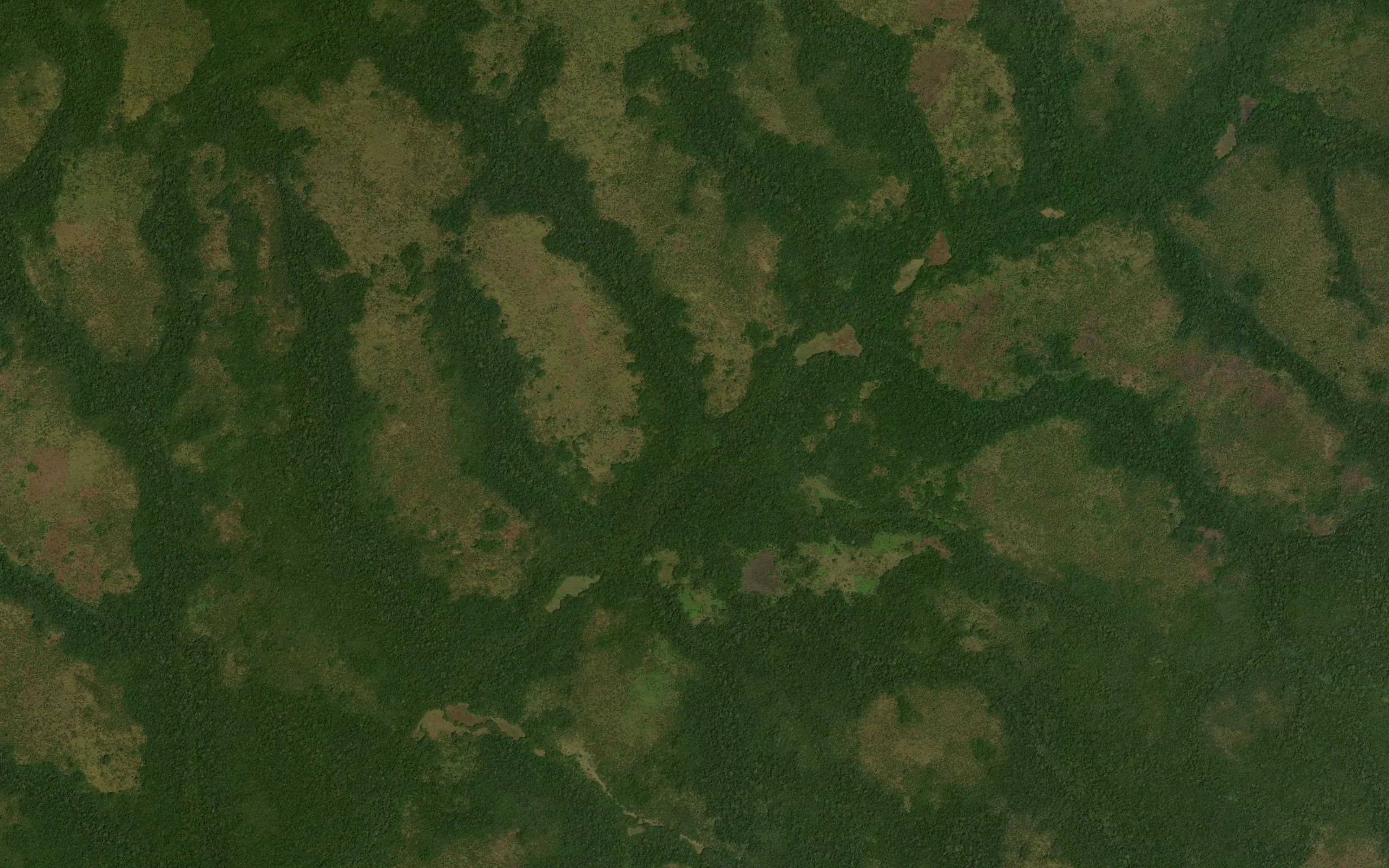 Nadavudavu