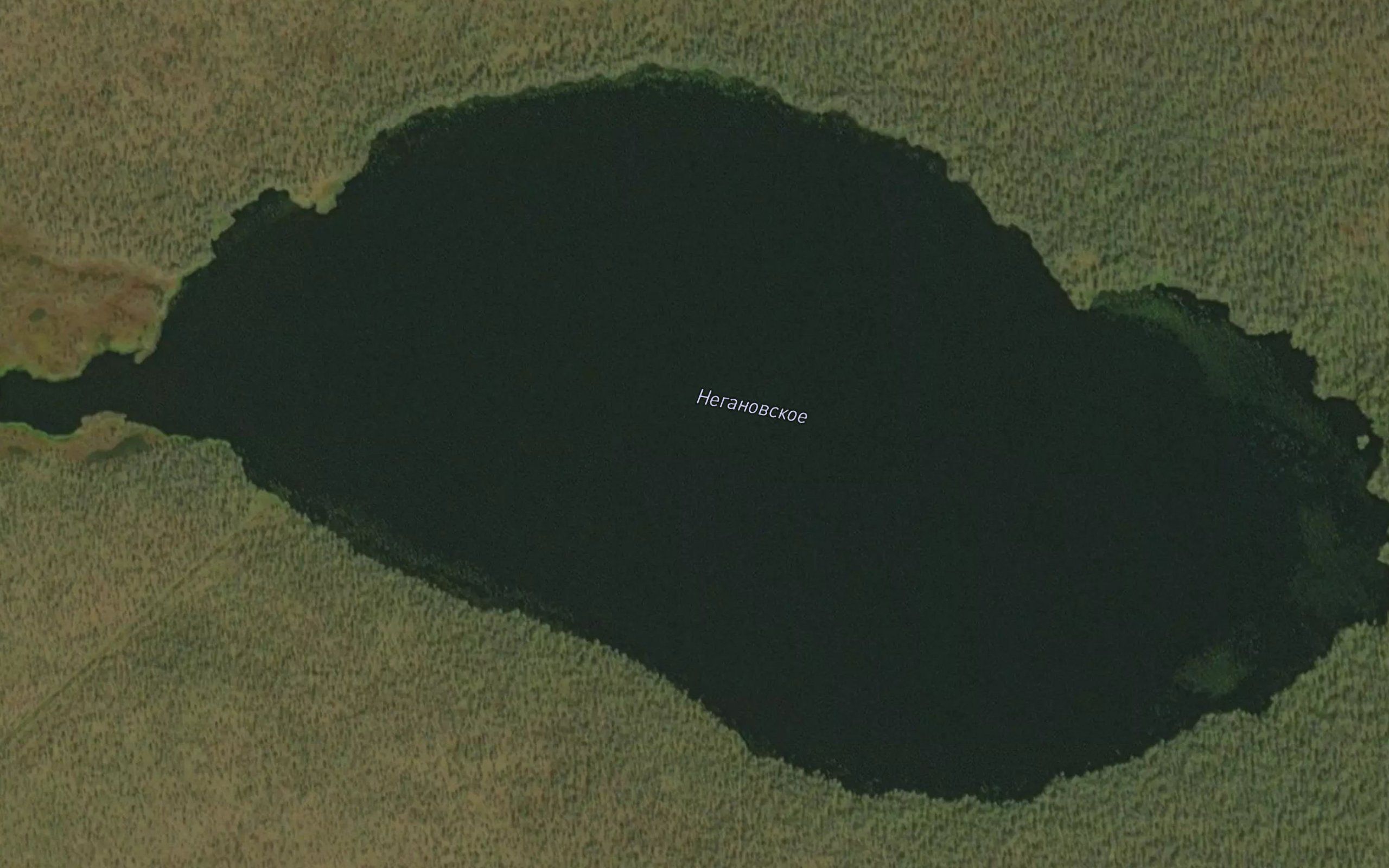 Ozero Neganovskoye