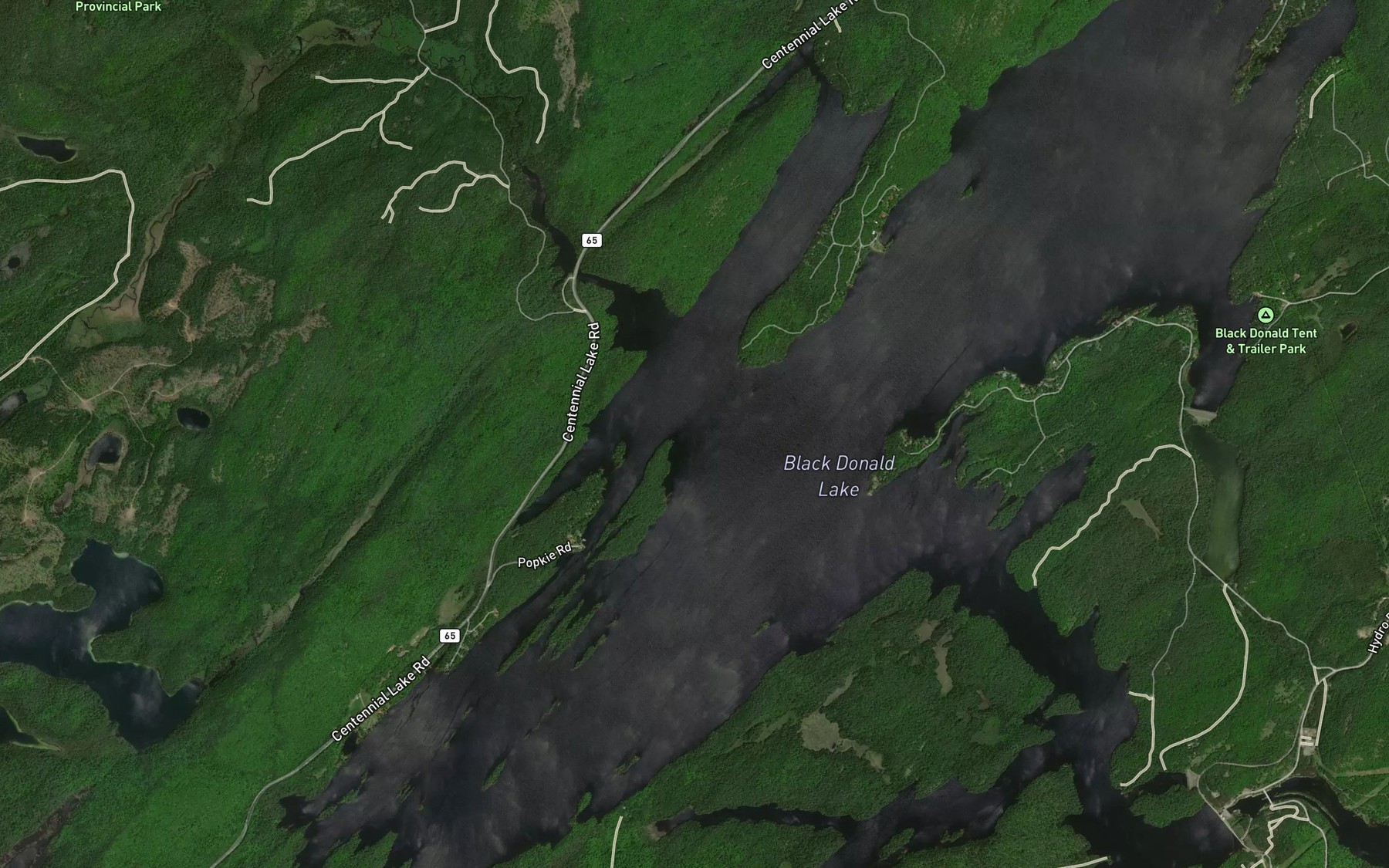Satellite map of the Little Black Donald Creek