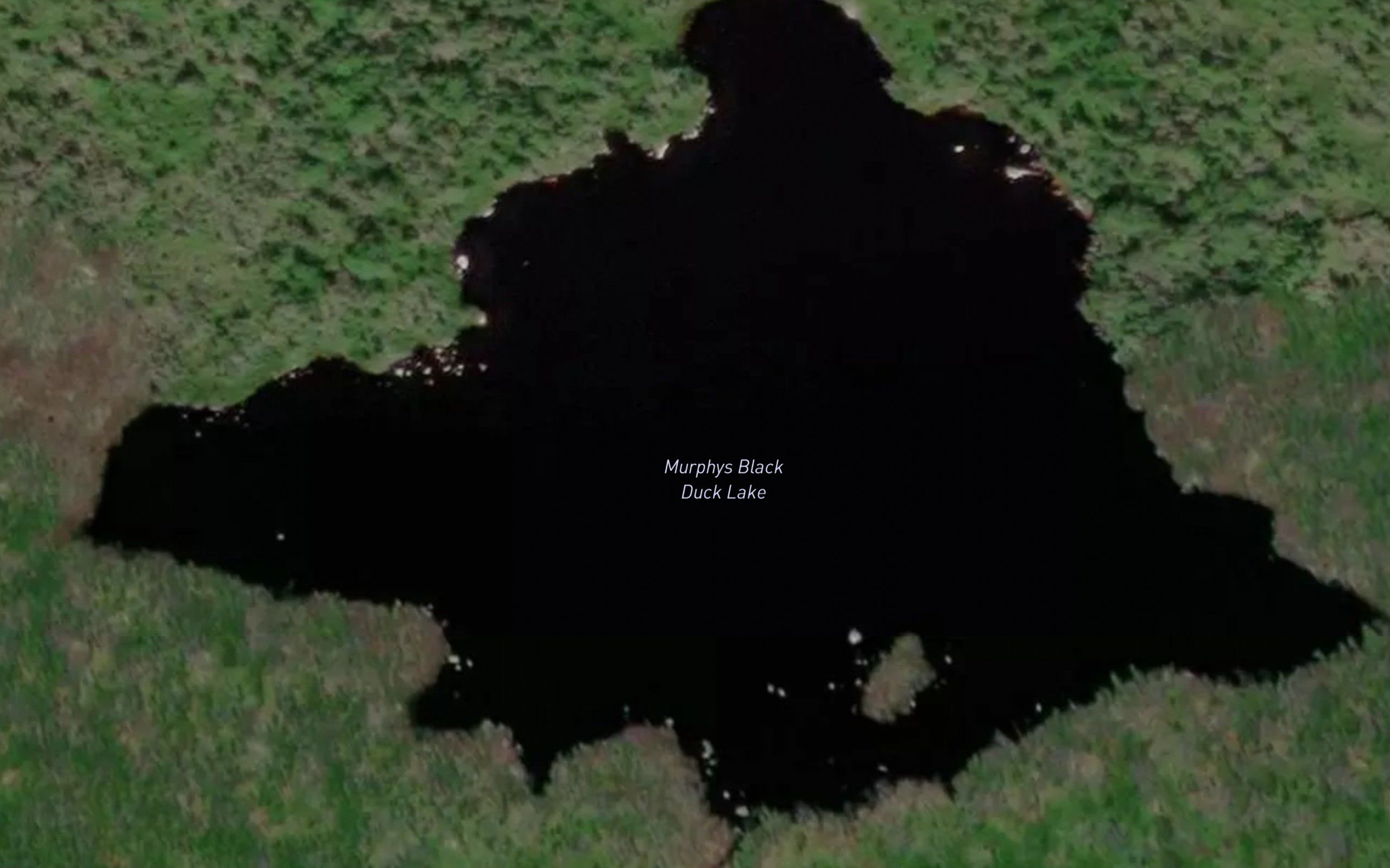 Murphys Black Duck Lake