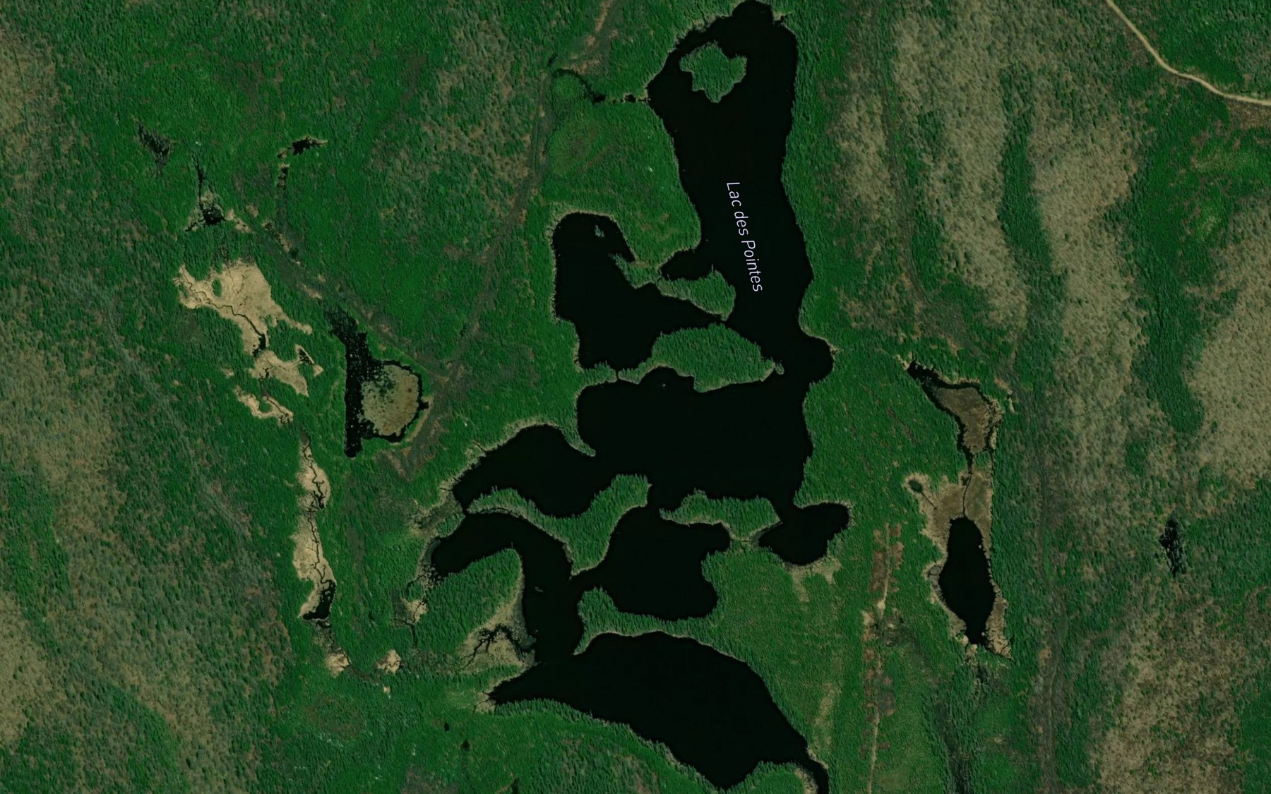 Satellite map of the Lac des Pointes