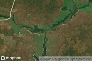 VinguenengueneSegundo