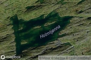 Holmtjorna