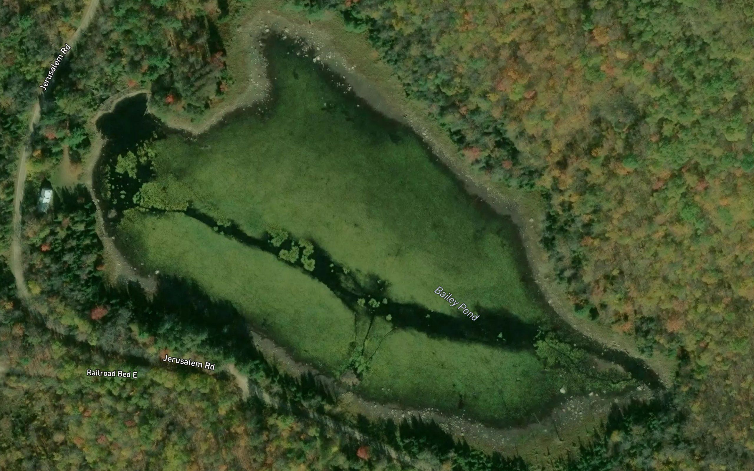 Bailey Pond