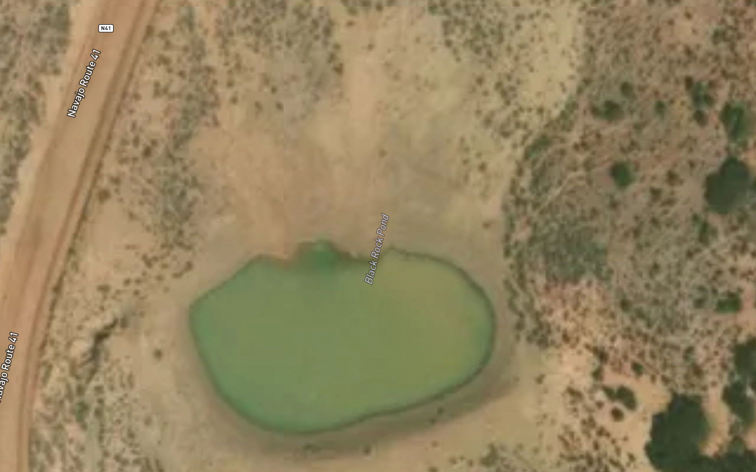 Black Rock Pond